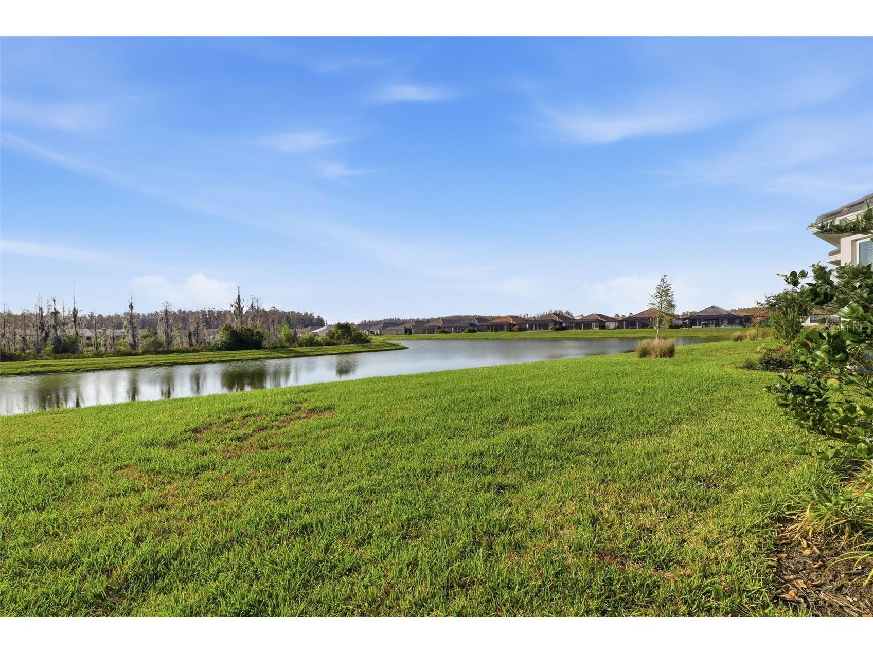 4533 Isonzo Way Wesley Chapel FL 33543 W7883832 image21