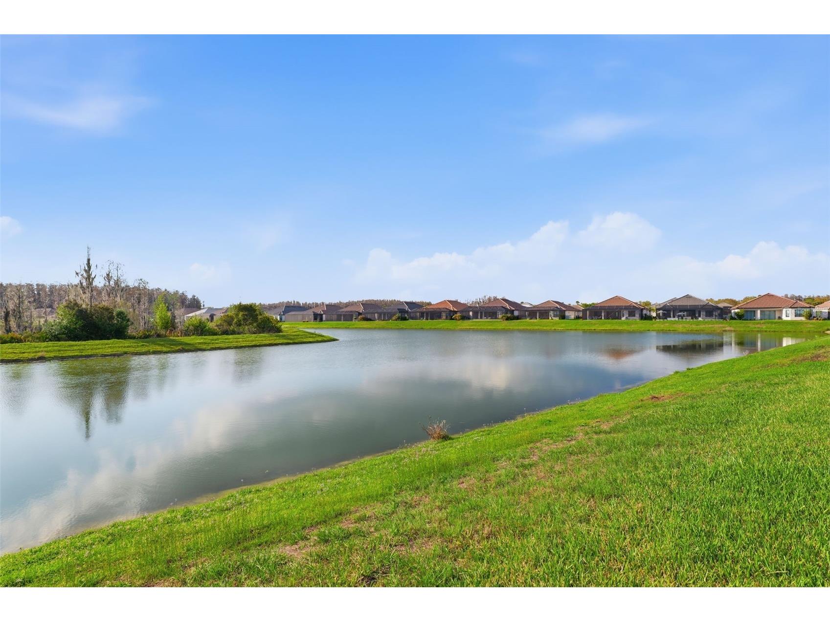 4533 Isonzo Way Wesley Chapel FL 33543 W7883832 image22