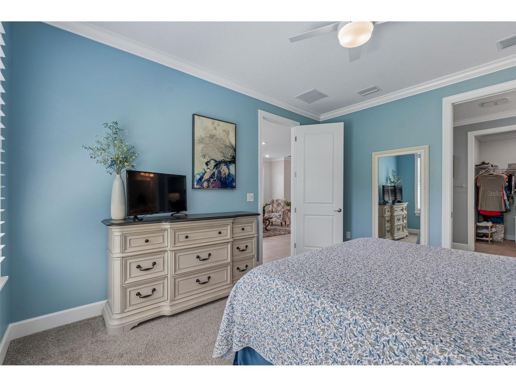 4534 Garofalo Road Wesley Chapel FL 33543 TB8511131 image12