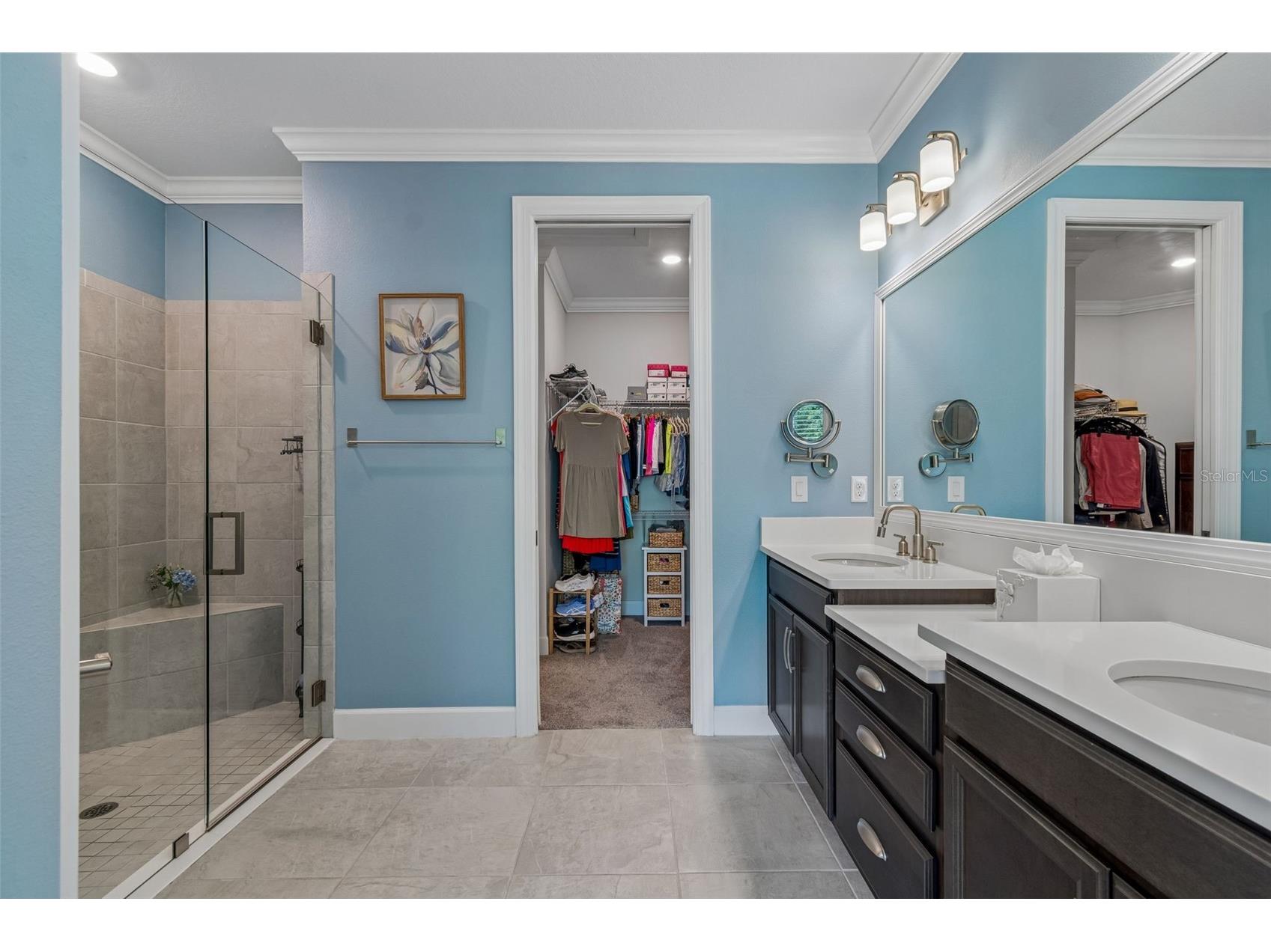 4534 Garofalo Road Wesley Chapel FL 33543 TB8511131 image14