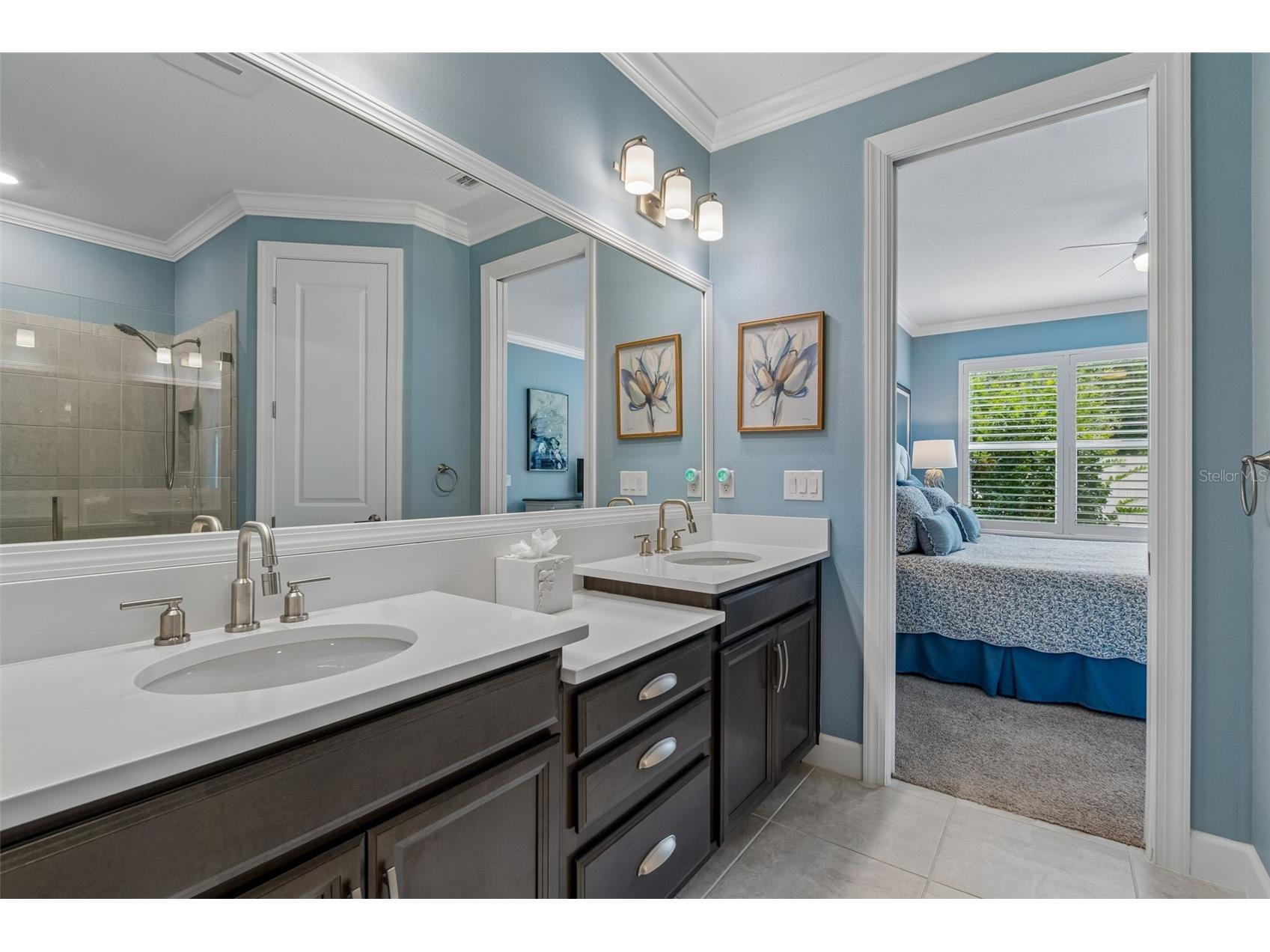 4534 Garofalo Road Wesley Chapel FL 33543 TB8511131 image15