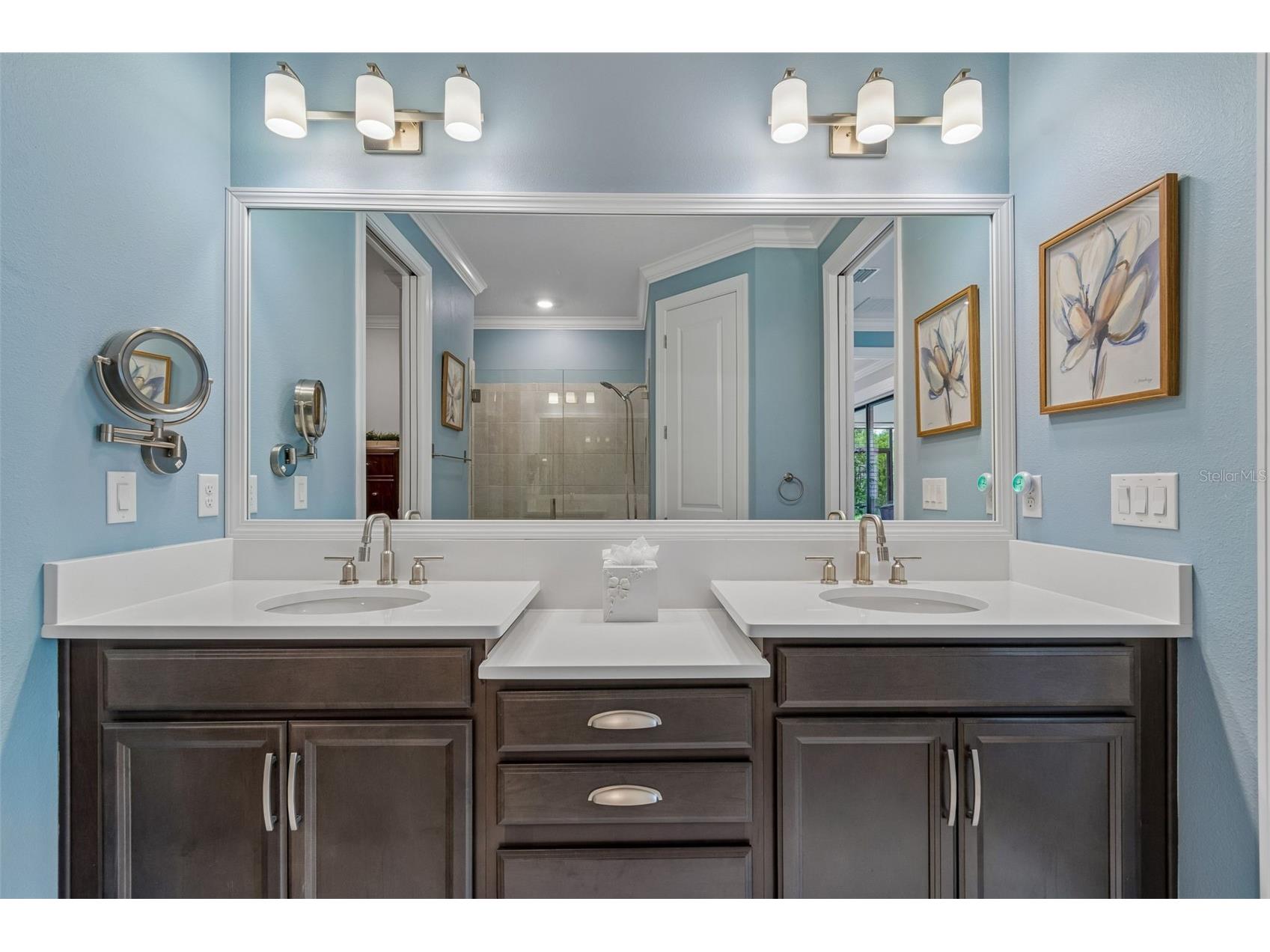4534 Garofalo Road Wesley Chapel FL 33543 TB8511131 image16