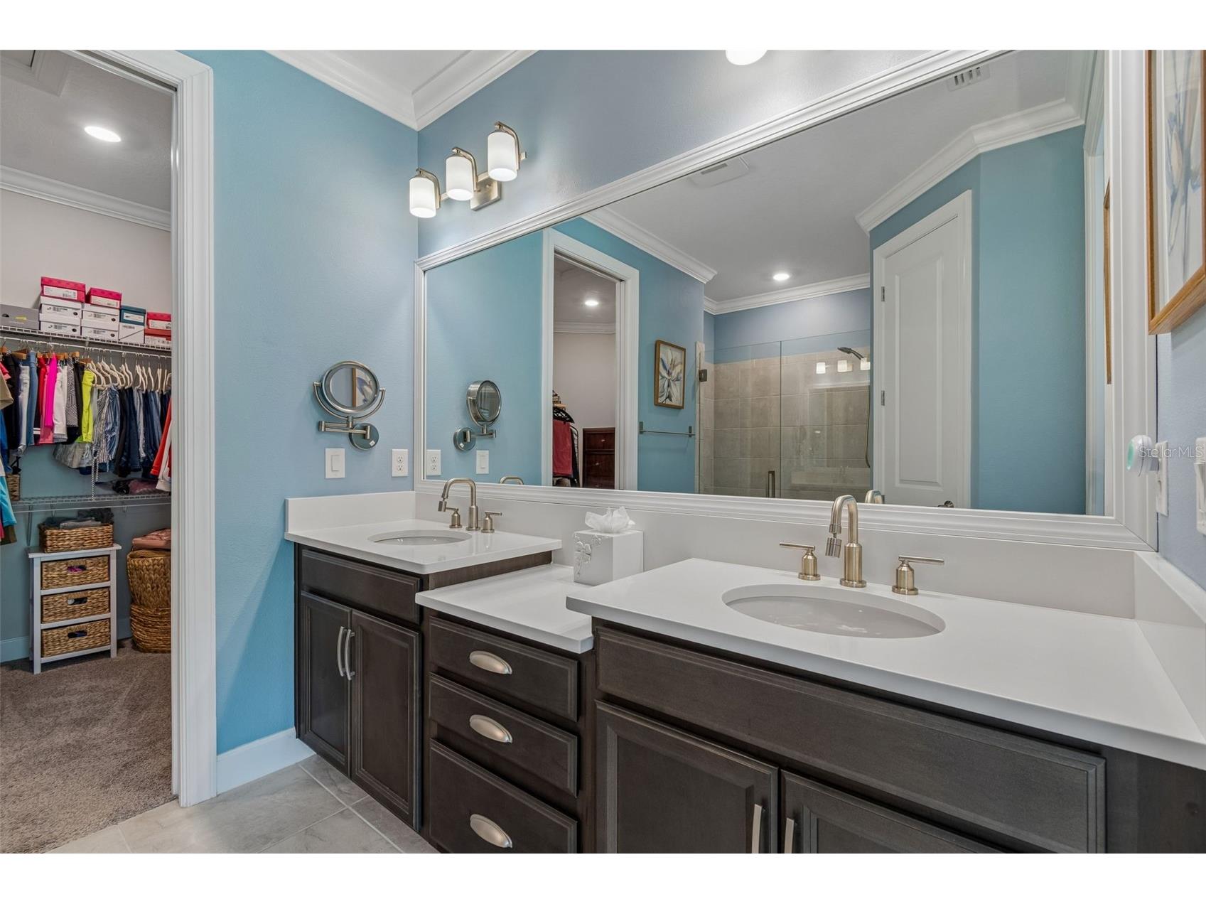 4534 Garofalo Road Wesley Chapel FL 33543 TB8511131 image17