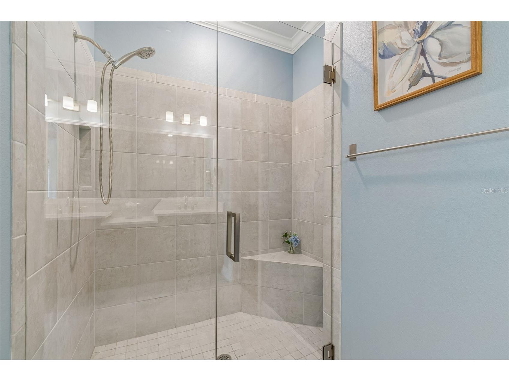 4534 Garofalo Road Wesley Chapel FL 33543 TB8511131 image18
