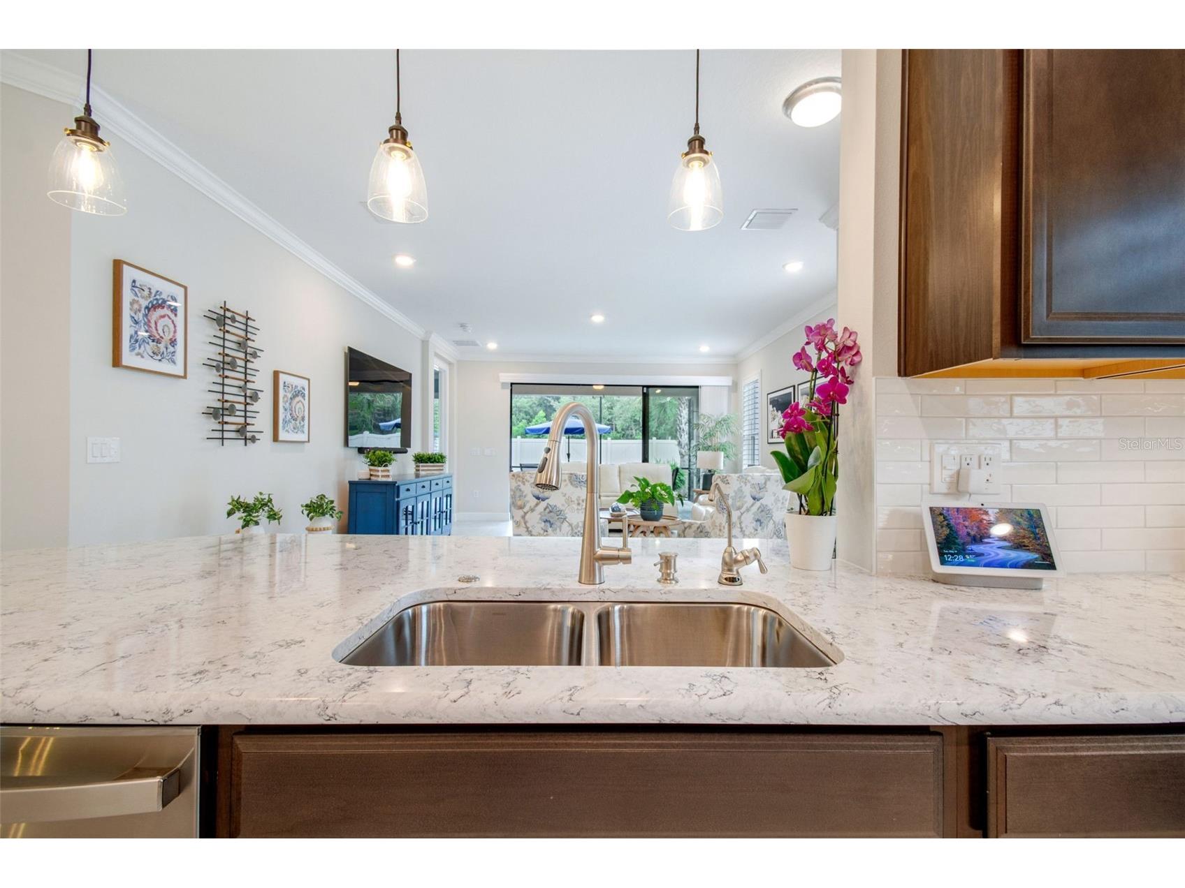 4534 Garofalo Road Wesley Chapel FL 33543 TB8511131 image62