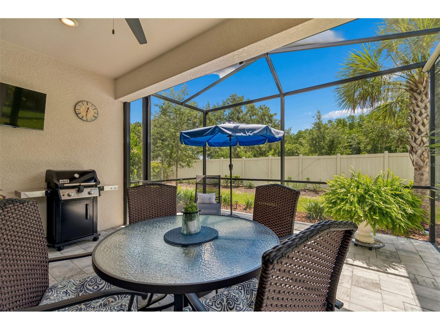 4534 Garofalo Road Wesley Chapel FL 33543 TB8511131 image65