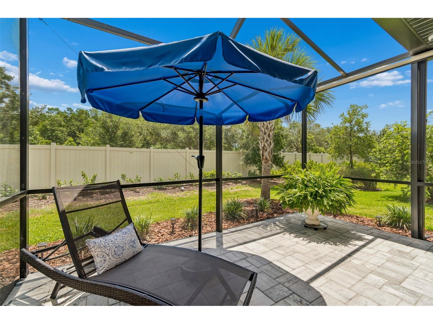 4534 Garofalo Road Wesley Chapel FL 33543 TB8511131 image67