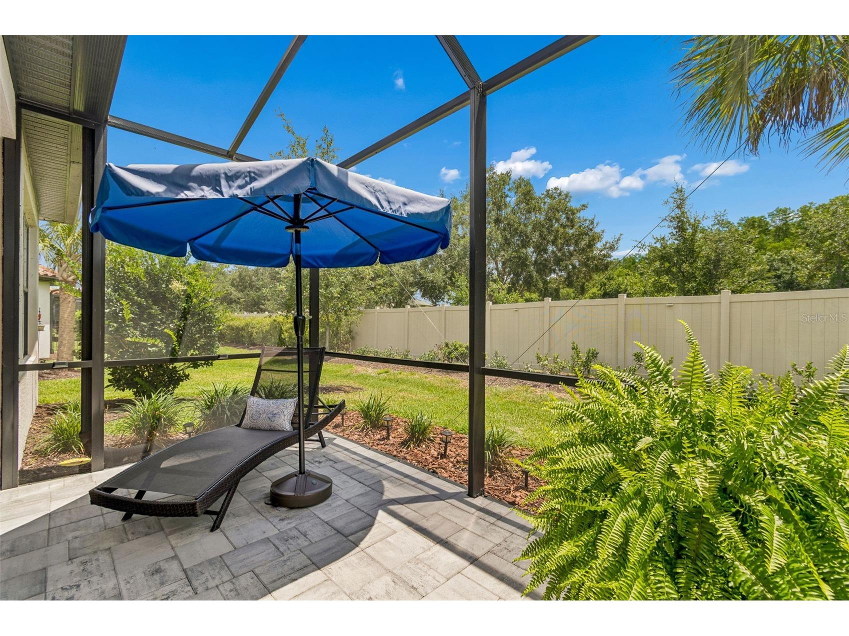 4534 Garofalo Road Wesley Chapel FL 33543 TB8511131 image68