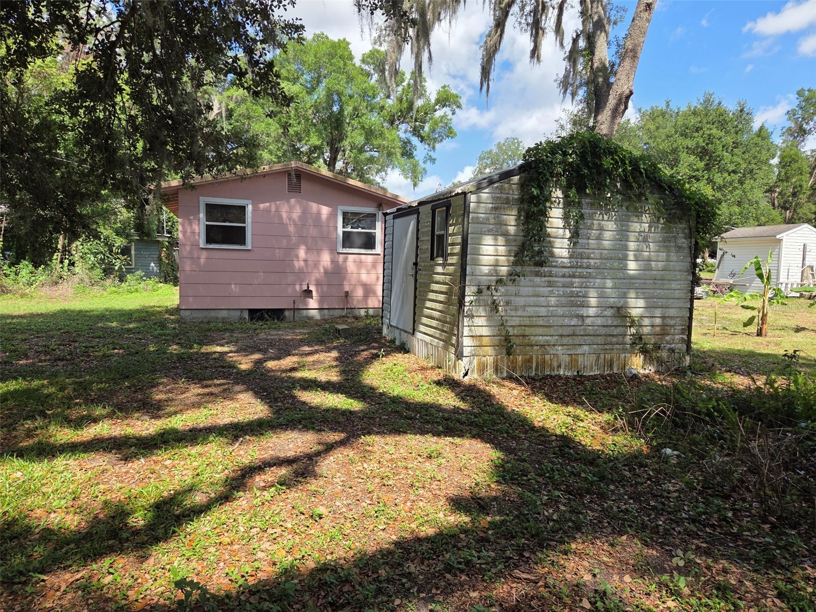 4534 Seaberg Road Zephyrhills FL 33541 TB8510591 image4