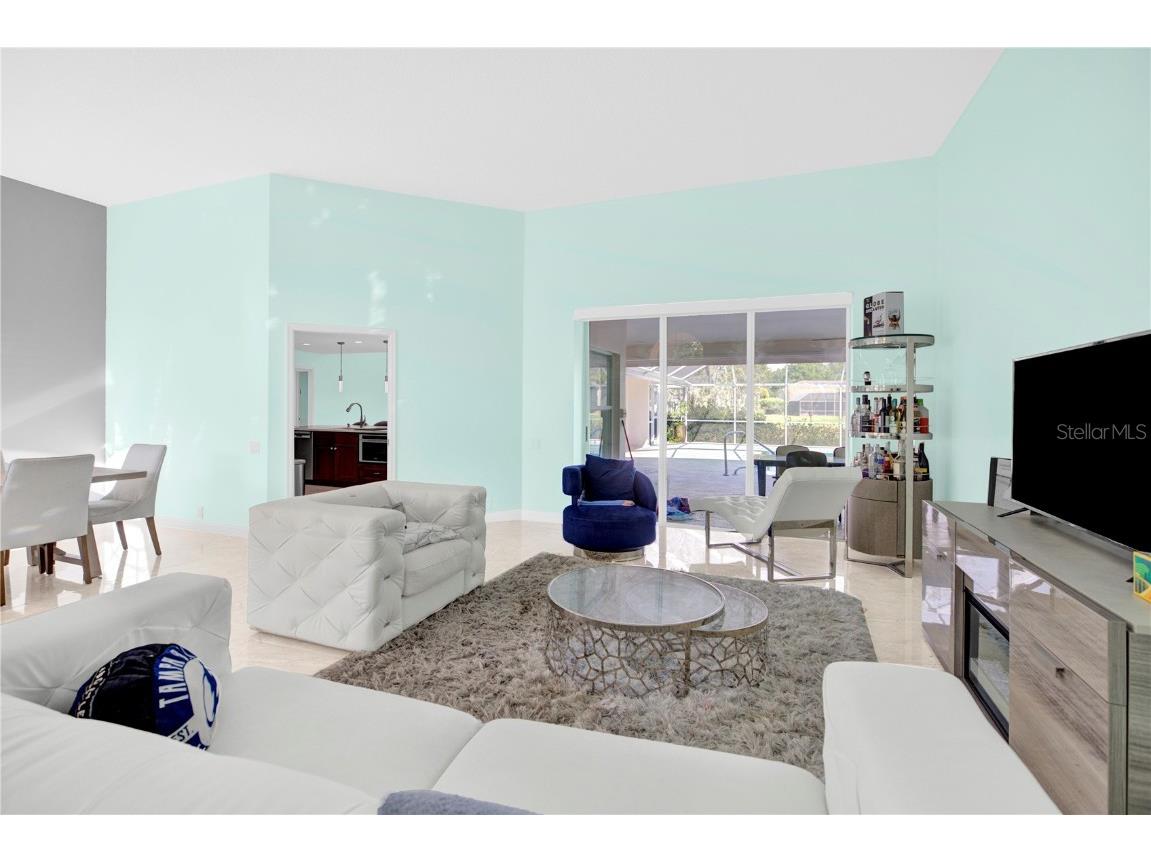 4535 Bardsdale Drive Palm Harbor FL 34685 TB8406907 image12