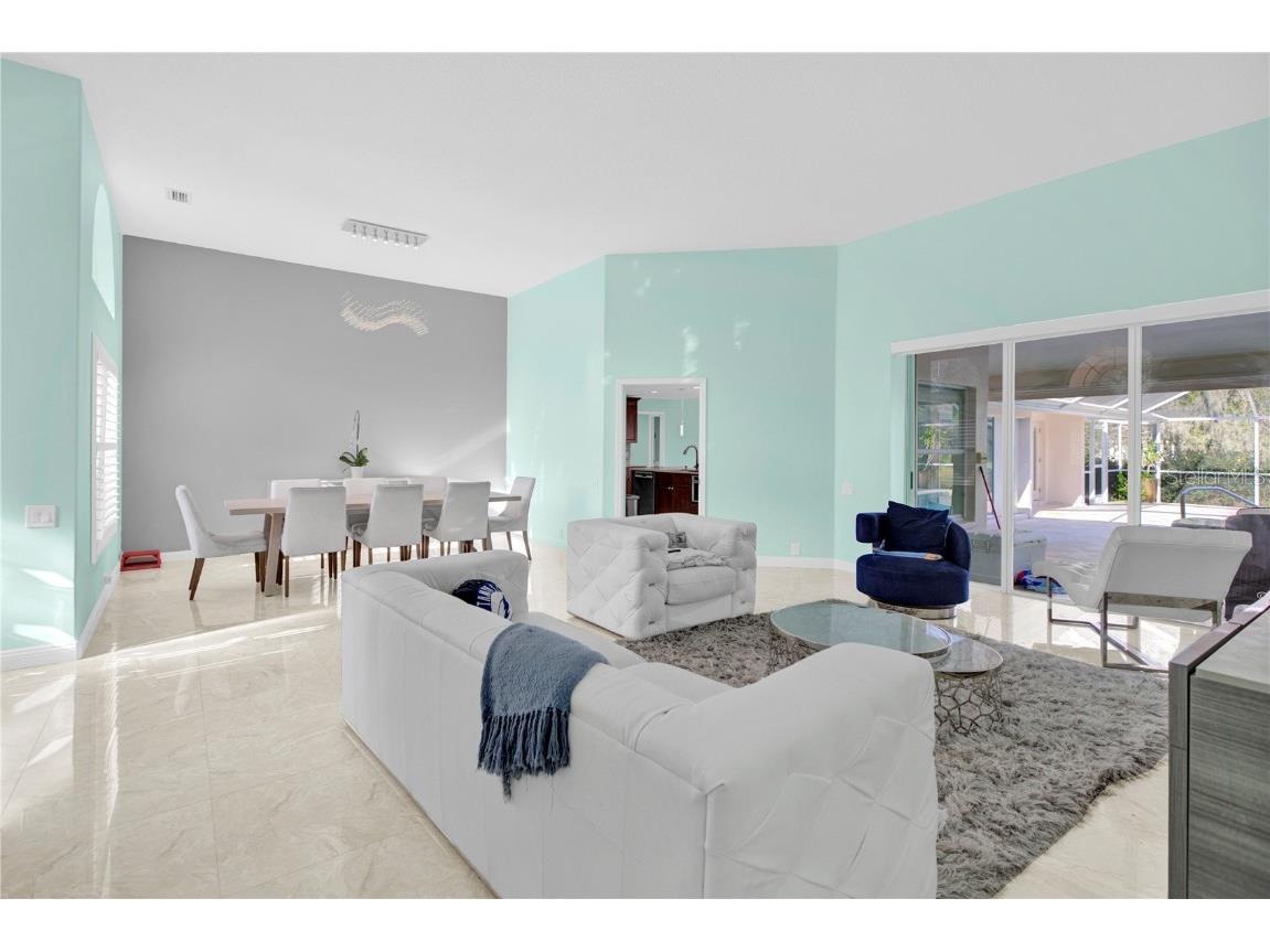 4535 Bardsdale Drive Palm Harbor FL 34685 TB8406907 image13