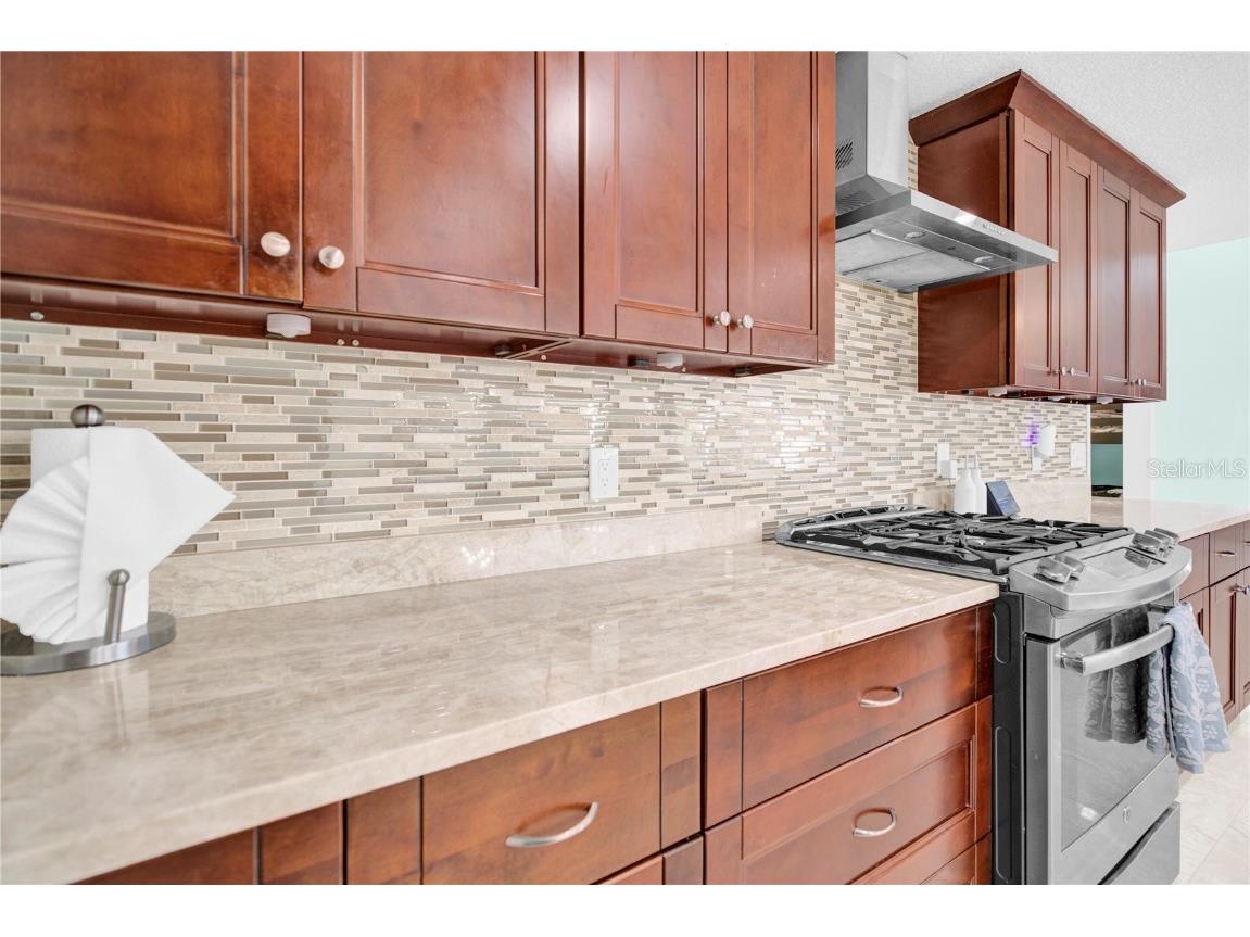 4535 Bardsdale Drive Palm Harbor FL 34685 TB8406907 image20