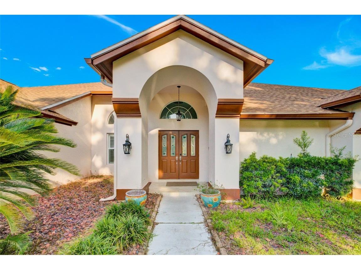 4535 Bardsdale Drive Palm Harbor FL 34685 TB8406907 image3