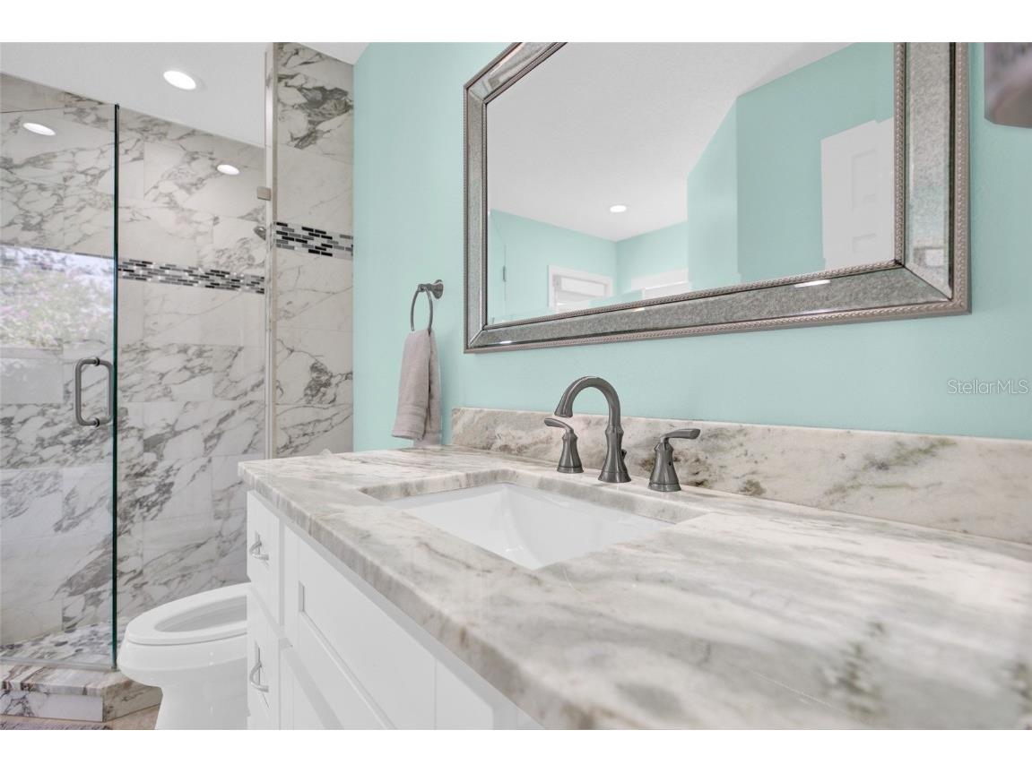 4535 Bardsdale Drive Palm Harbor FL 34685 TB8406907 image33