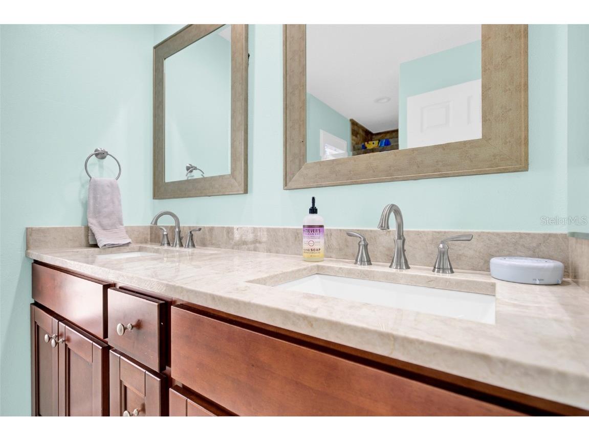 4535 Bardsdale Drive Palm Harbor FL 34685 TB8406907 image48