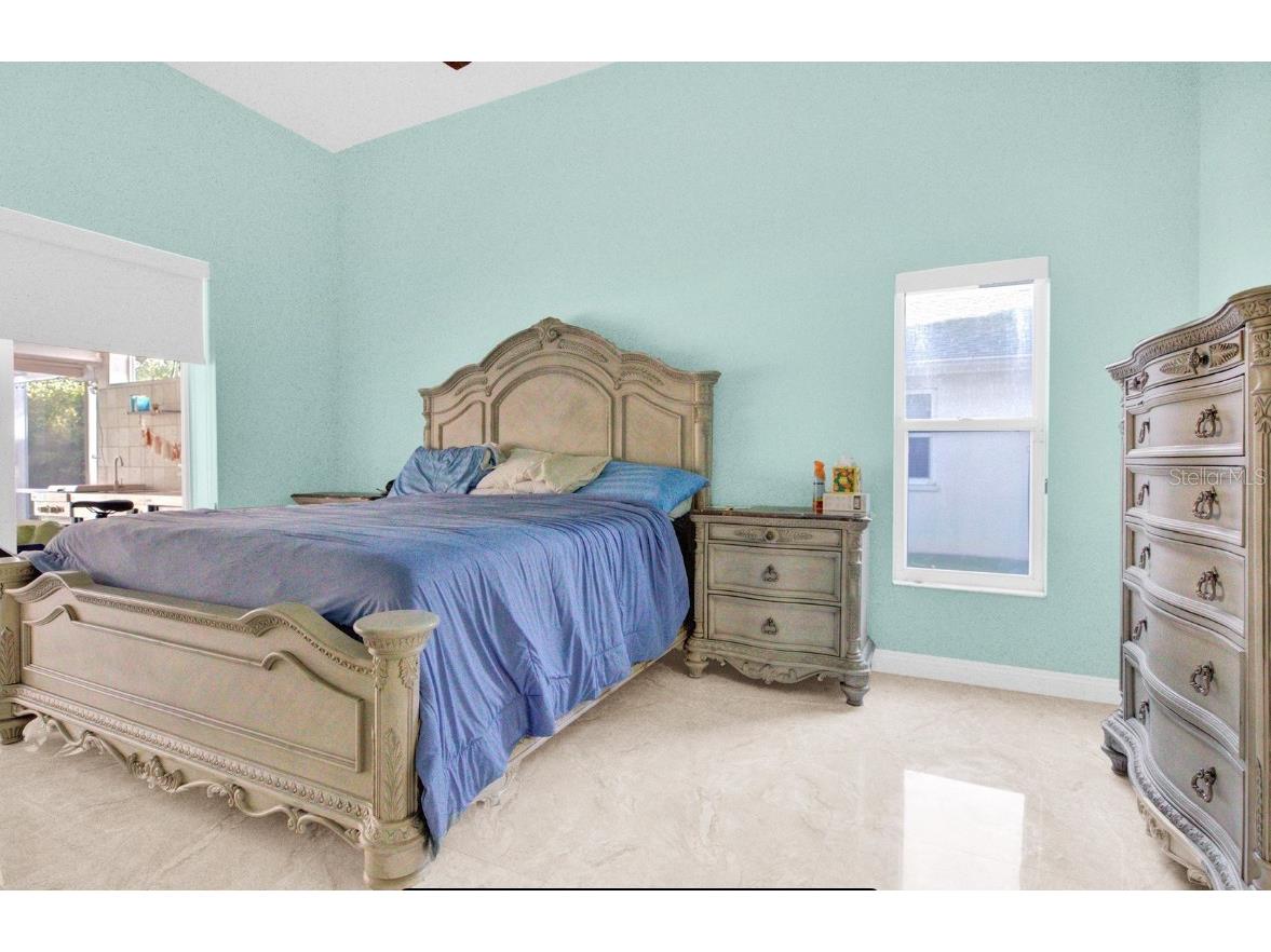 4535 Bardsdale Drive Palm Harbor FL 34685 TB8406907 image53