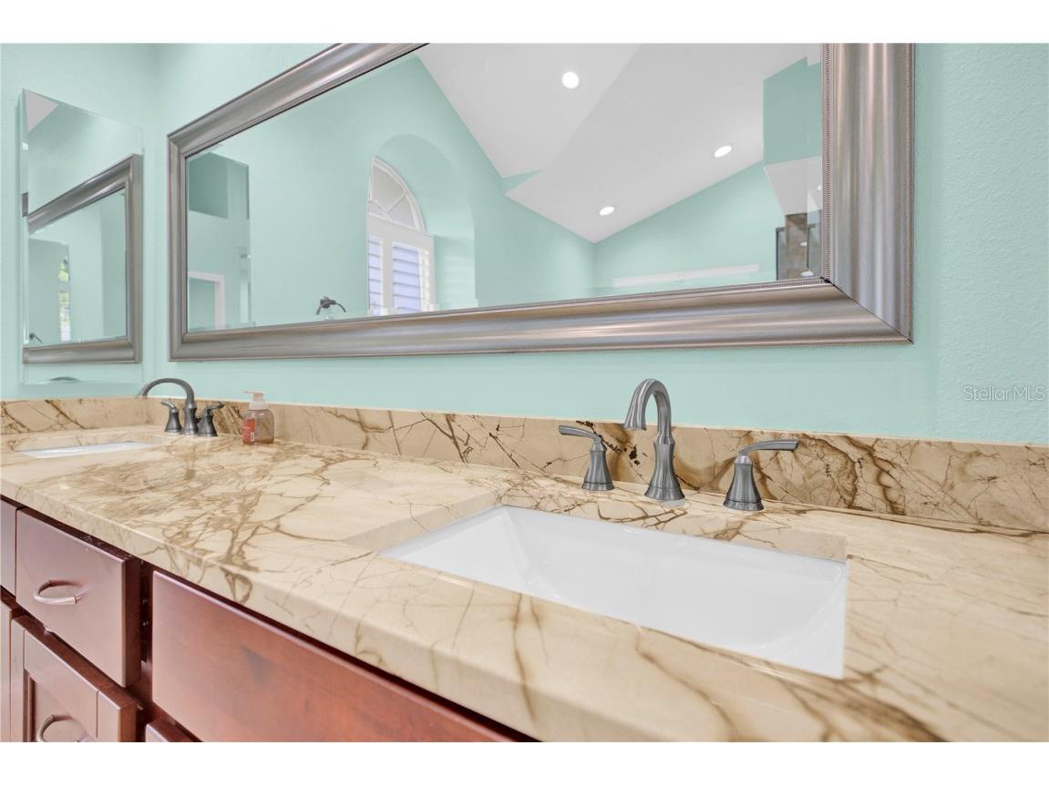 4535 Bardsdale Drive Palm Harbor FL 34685 TB8406907 image58