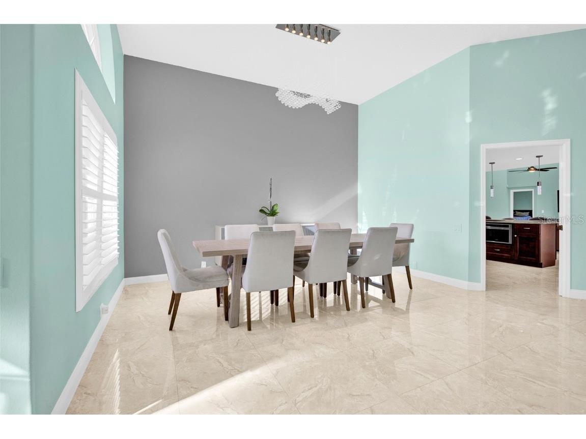 4535 Bardsdale Drive Palm Harbor FL 34685 TB8406907 image6