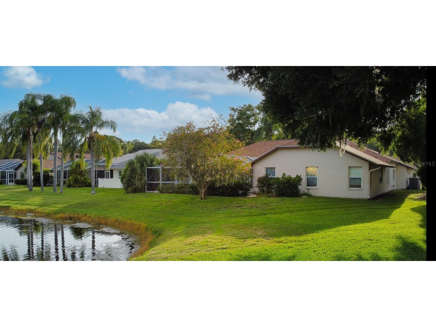 4535 Bardsdale Drive Palm Harbor FL 34685 TB8406907 image62