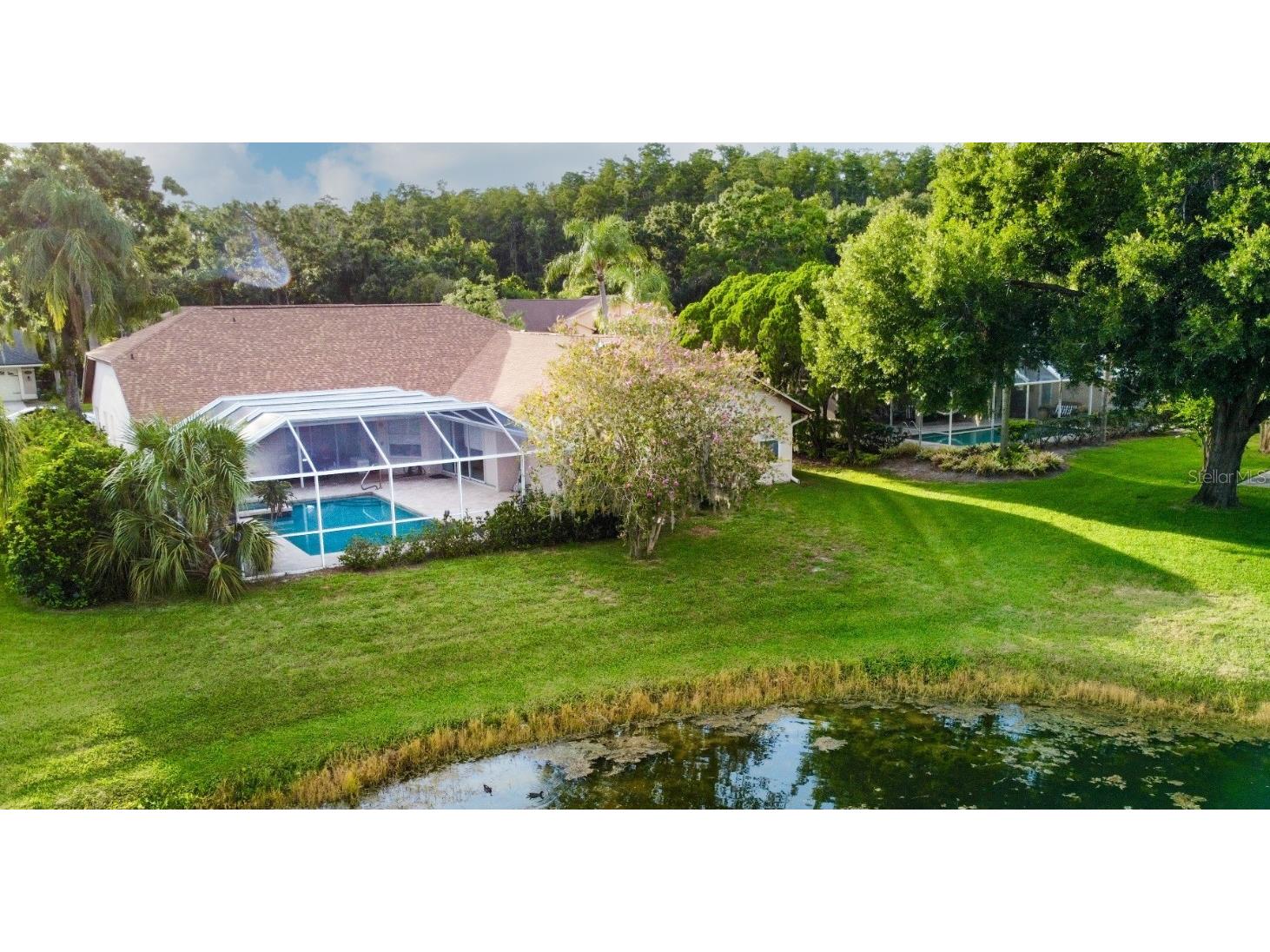 4535 Bardsdale Drive Palm Harbor FL 34685 TB8406907 image63