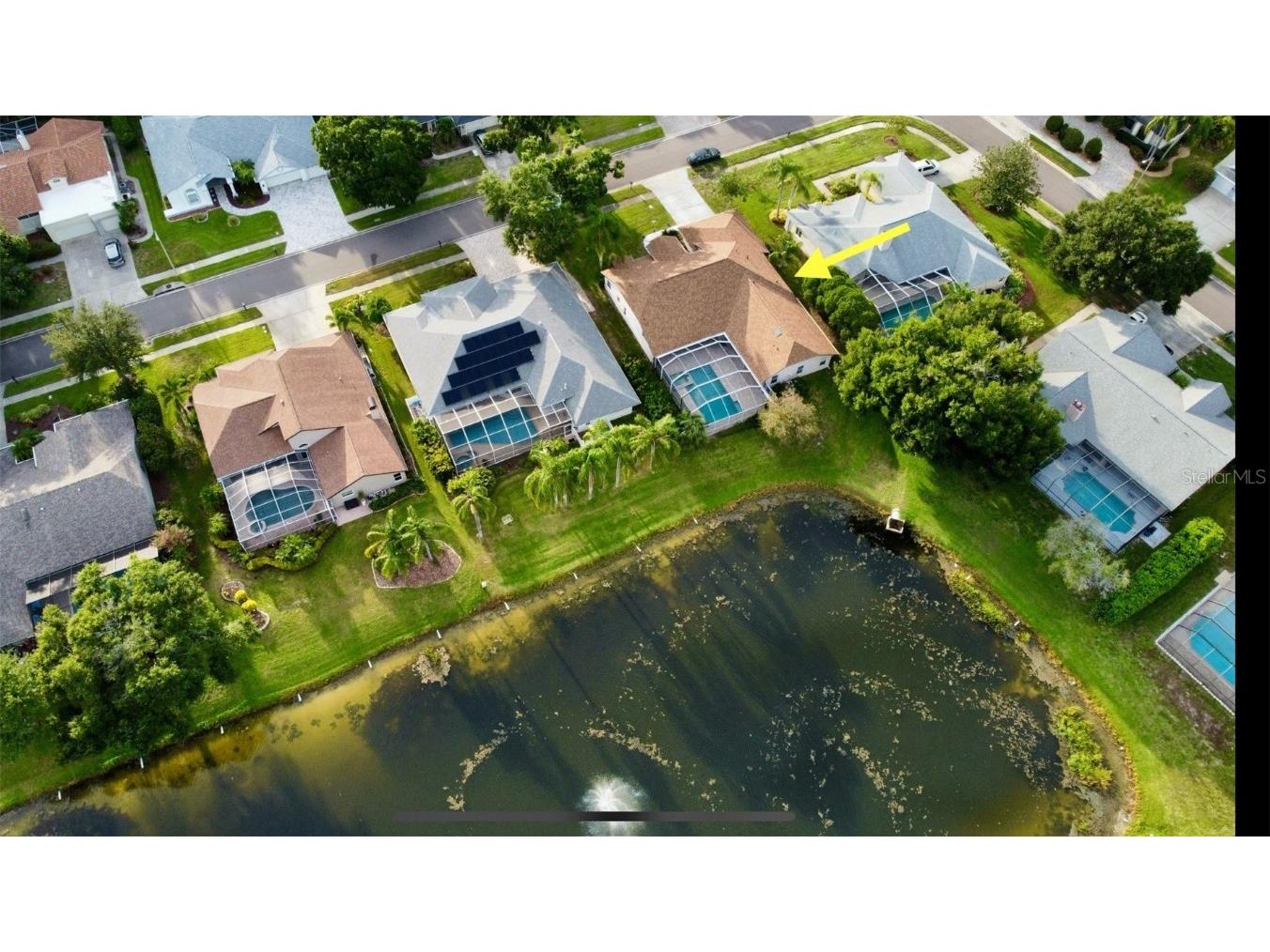 4535 Bardsdale Drive Palm Harbor FL 34685 TB8406907 image65