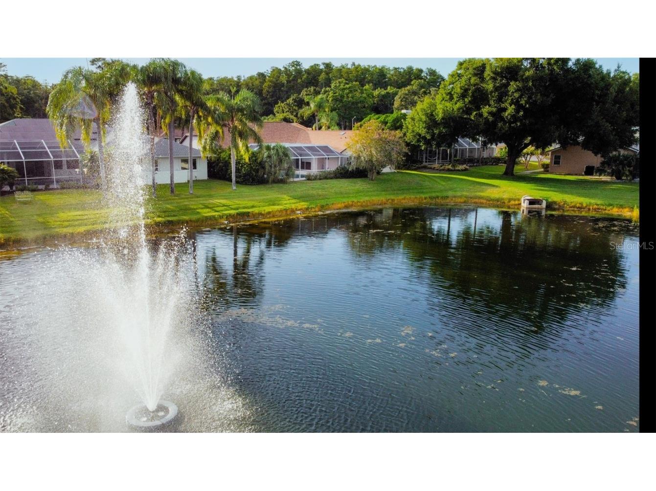 4535 Bardsdale Drive Palm Harbor FL 34685 TB8406907 image66