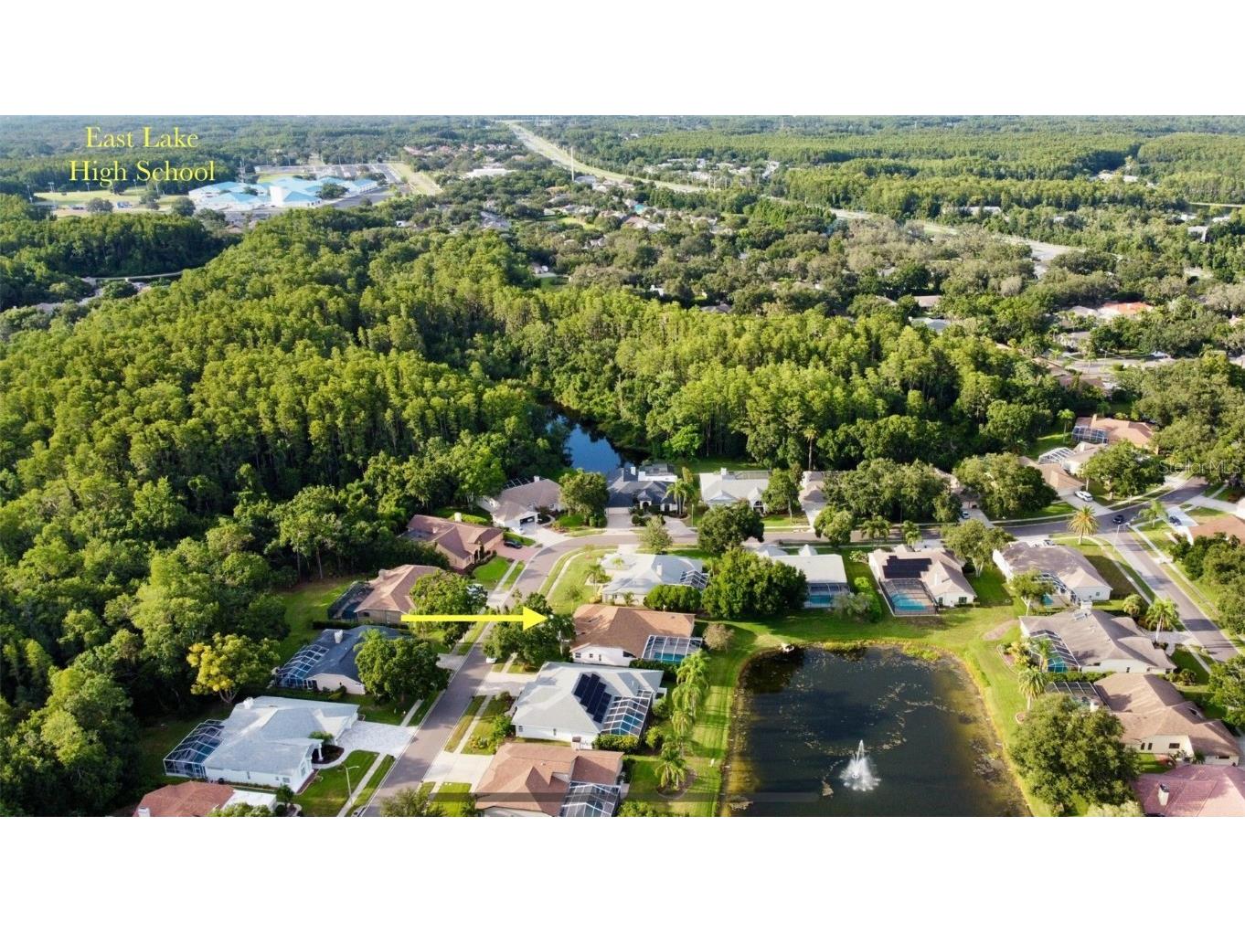 4535 Bardsdale Drive Palm Harbor FL 34685 TB8406907 image67