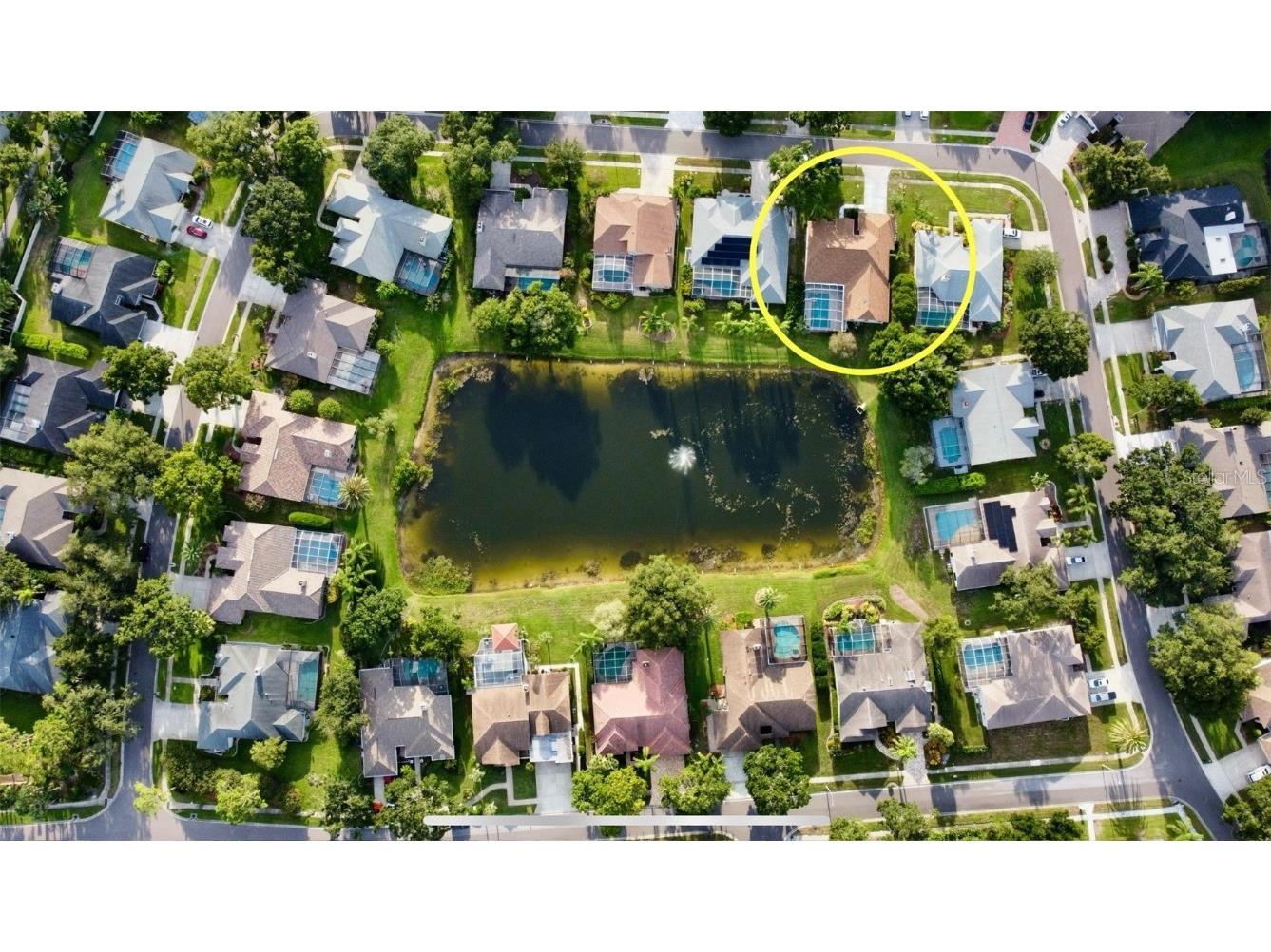 4535 Bardsdale Drive Palm Harbor FL 34685 TB8406907 image68