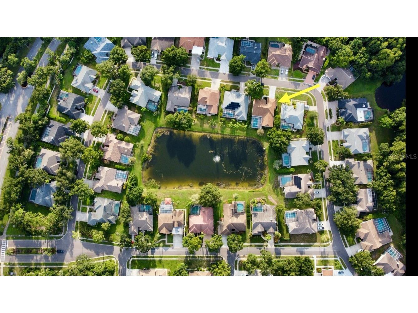 4535 Bardsdale Drive Palm Harbor FL 34685 TB8406907 image69