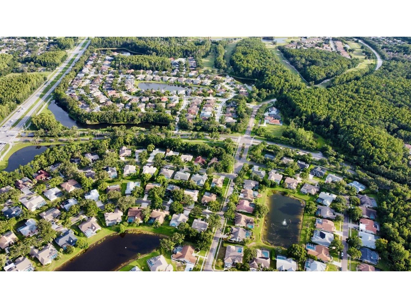 4535 Bardsdale Drive Palm Harbor FL 34685 TB8406907 image70