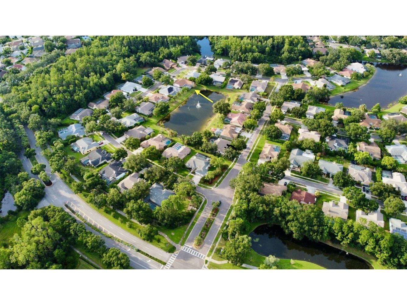 4535 Bardsdale Drive Palm Harbor FL 34685 TB8406907 image72