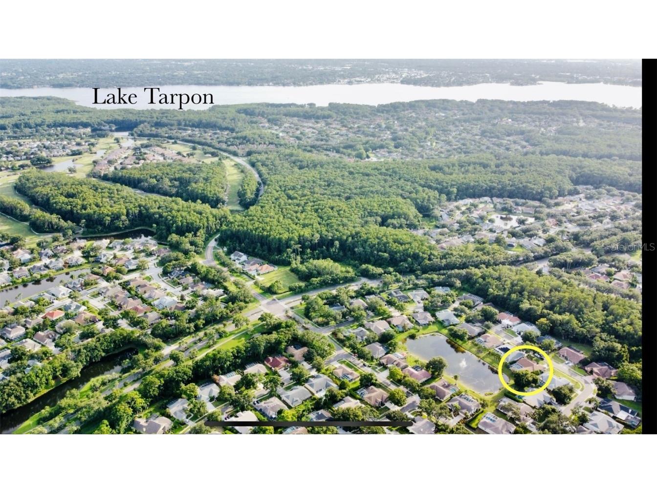 4535 Bardsdale Drive Palm Harbor FL 34685 TB8406907 image73