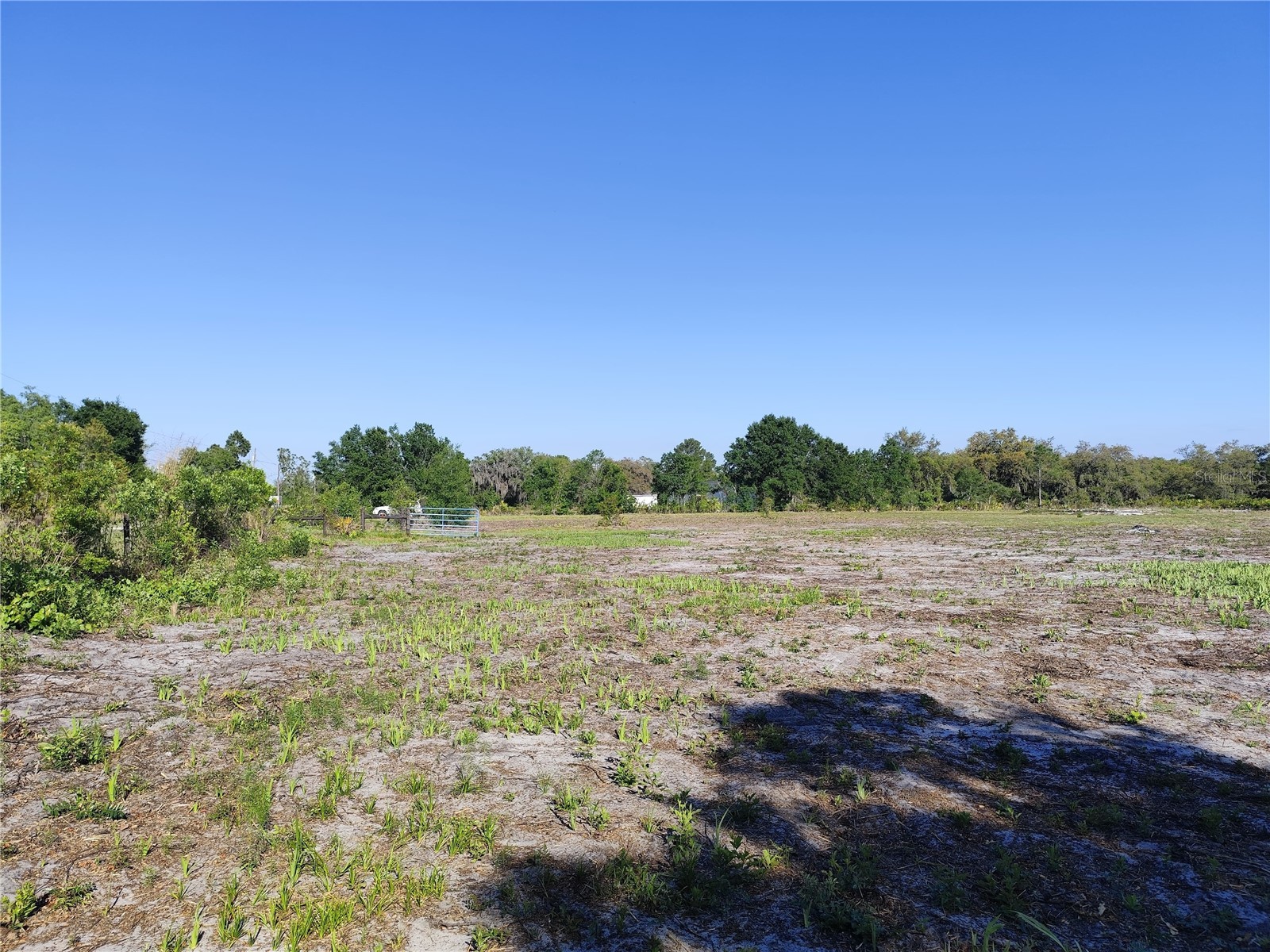 4535 Sarver Avenue Lake Wales FL 33859 O6400918 image10