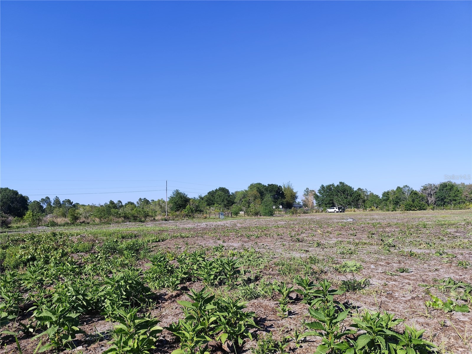 4535 Sarver Avenue Lake Wales FL 33859 O6400918 image13