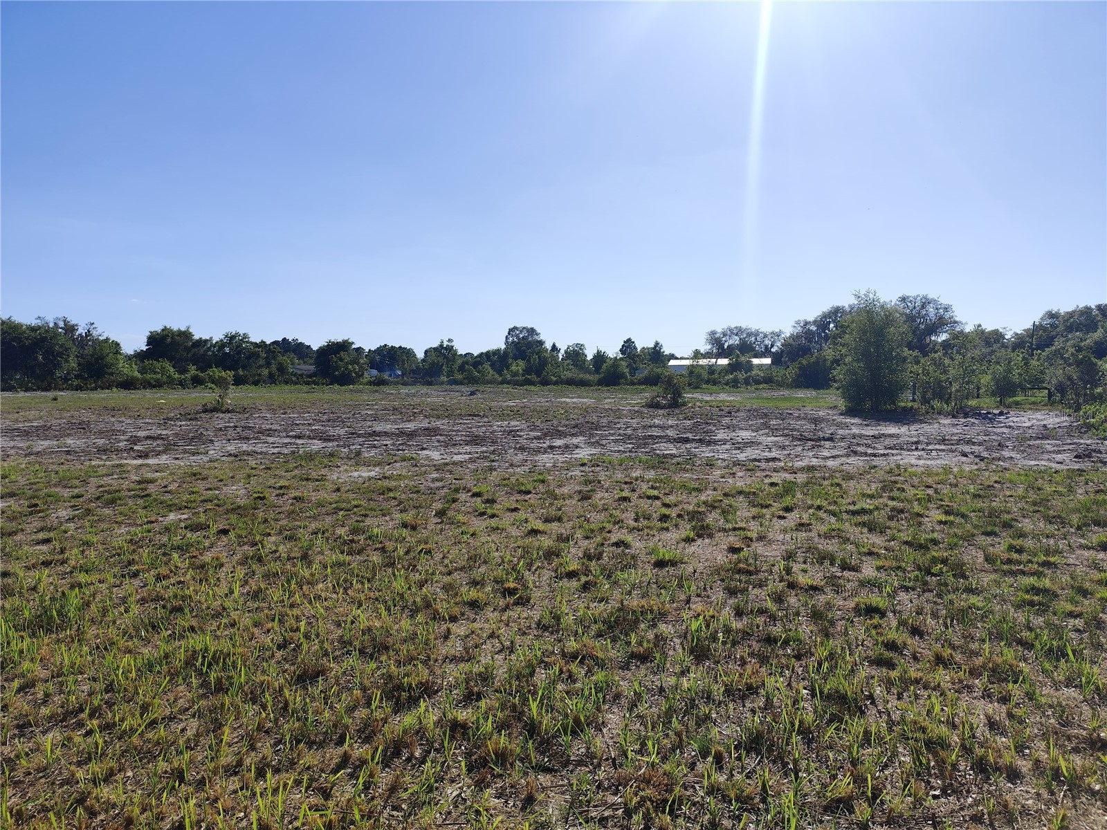 4535 Sarver Avenue Lake Wales FL 33859 O6400918 image4