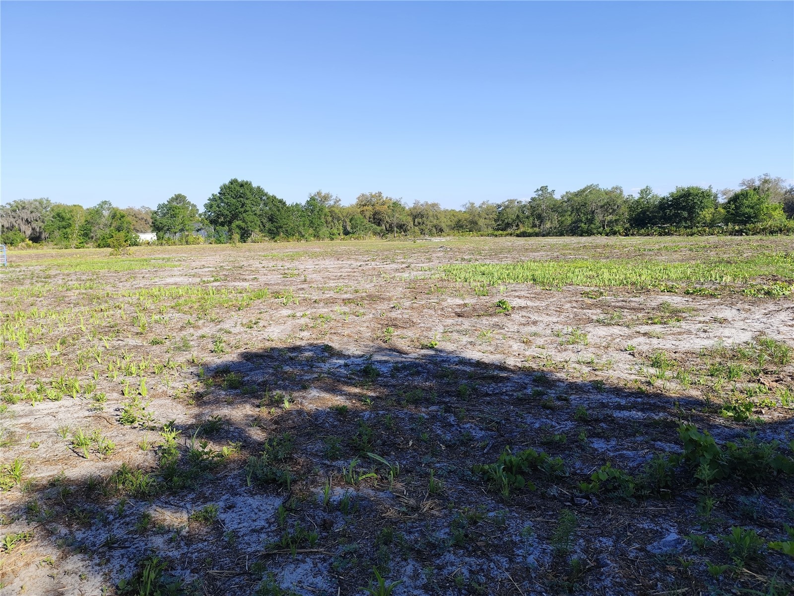 4535 Sarver Avenue Lake Wales FL 33859 O6400918 image5