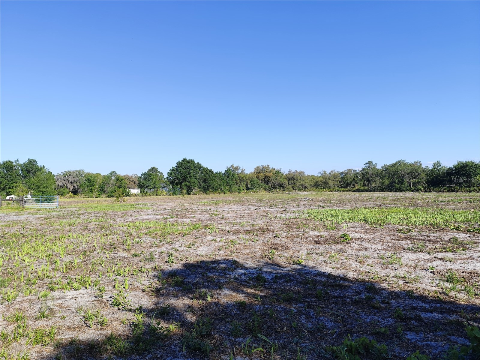 4535 Sarver Avenue Lake Wales FL 33859 O6400918 image6