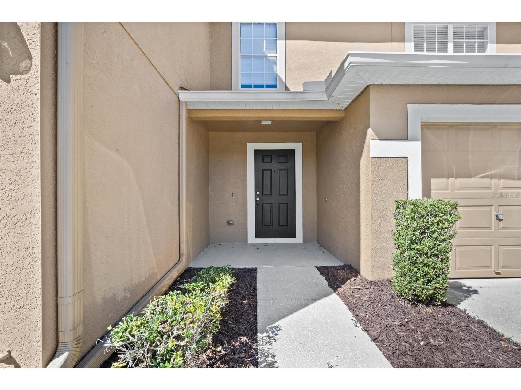 4535 Winding River Way Land O Lakes FL 34639 TB8516969 image2