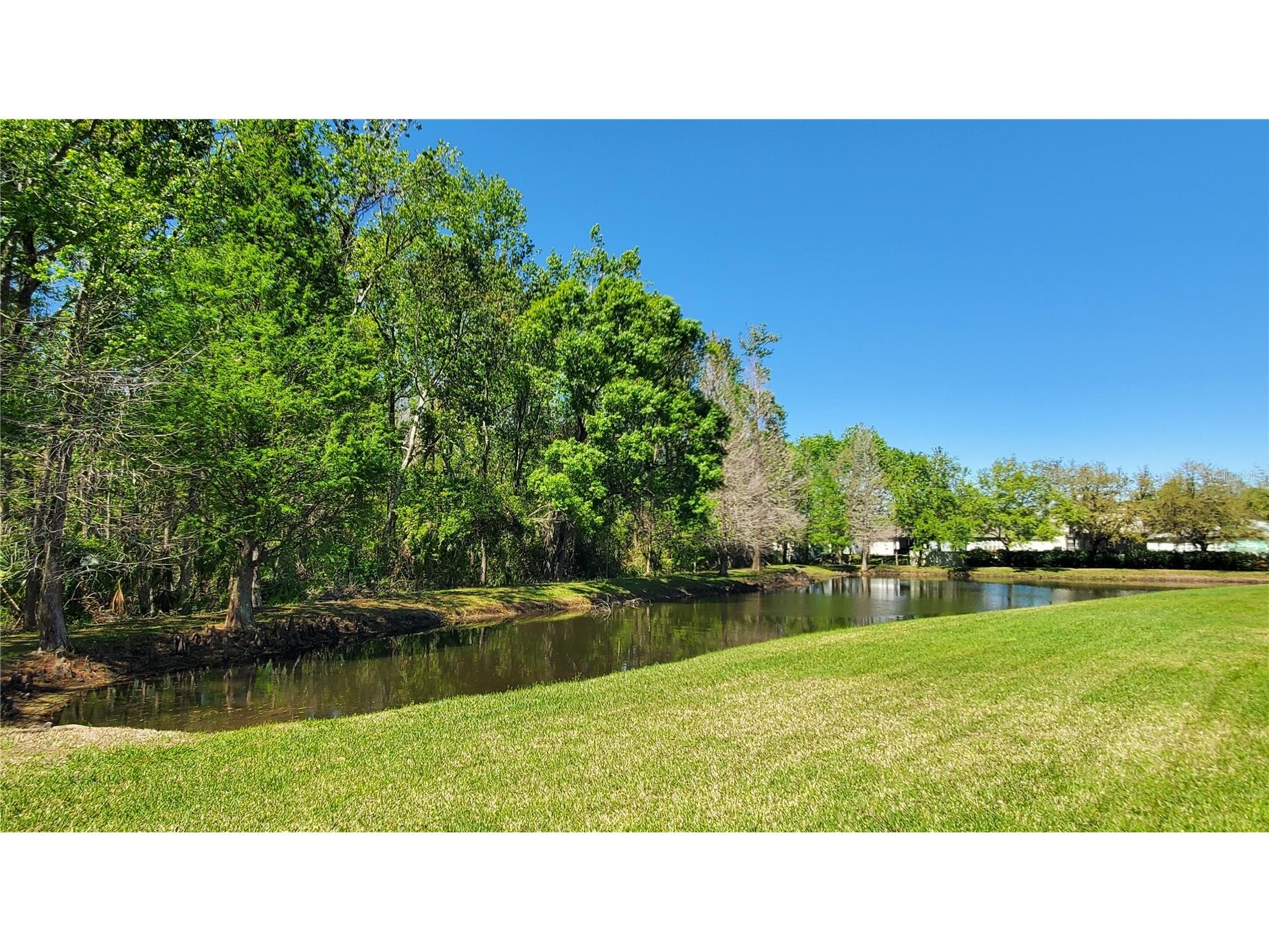 4535 Winding River Way Land O Lakes FL 34639 TB8516969 image37