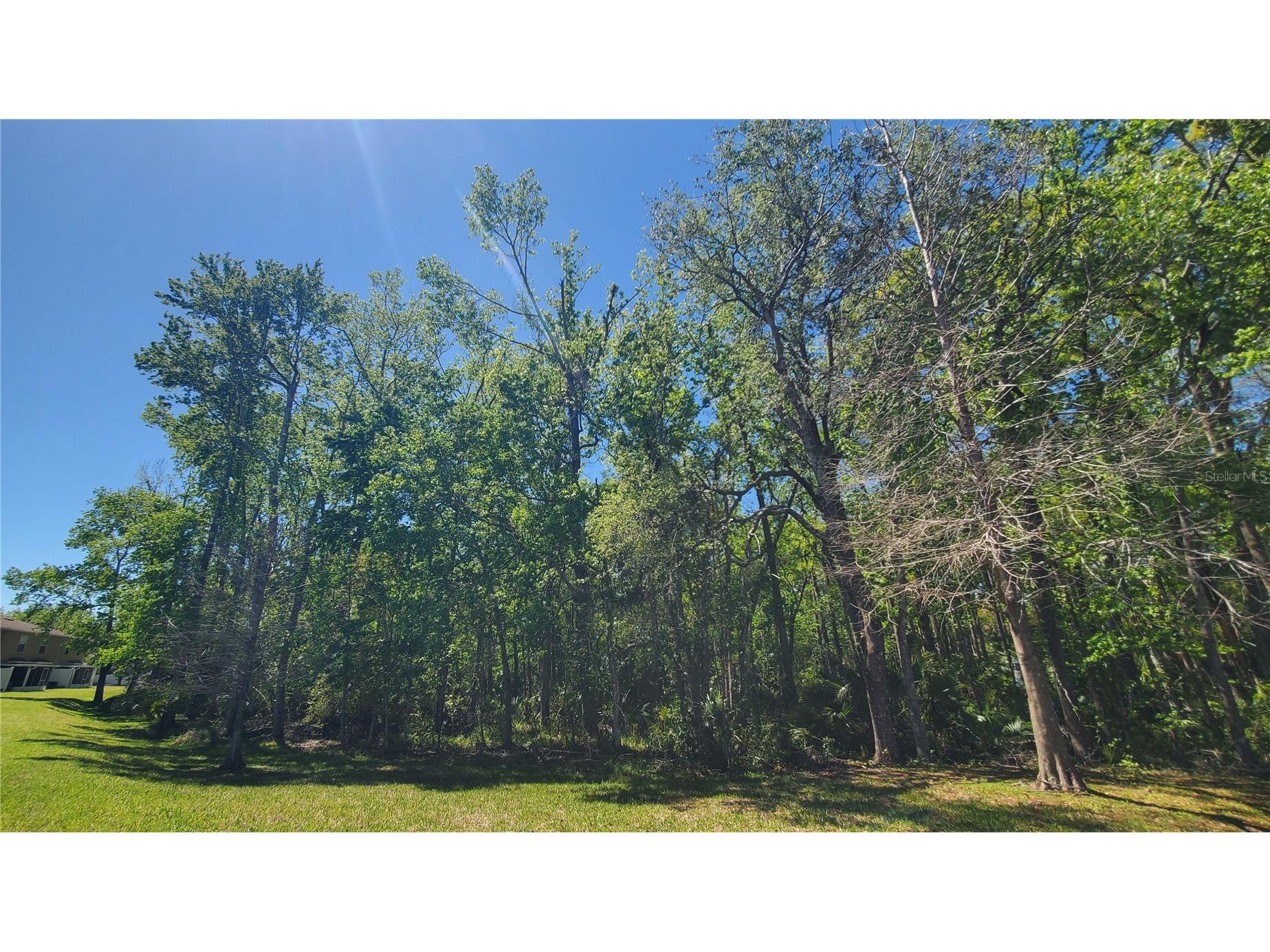 4535 Winding River Way Land O Lakes FL 34639 TB8516969 image39
