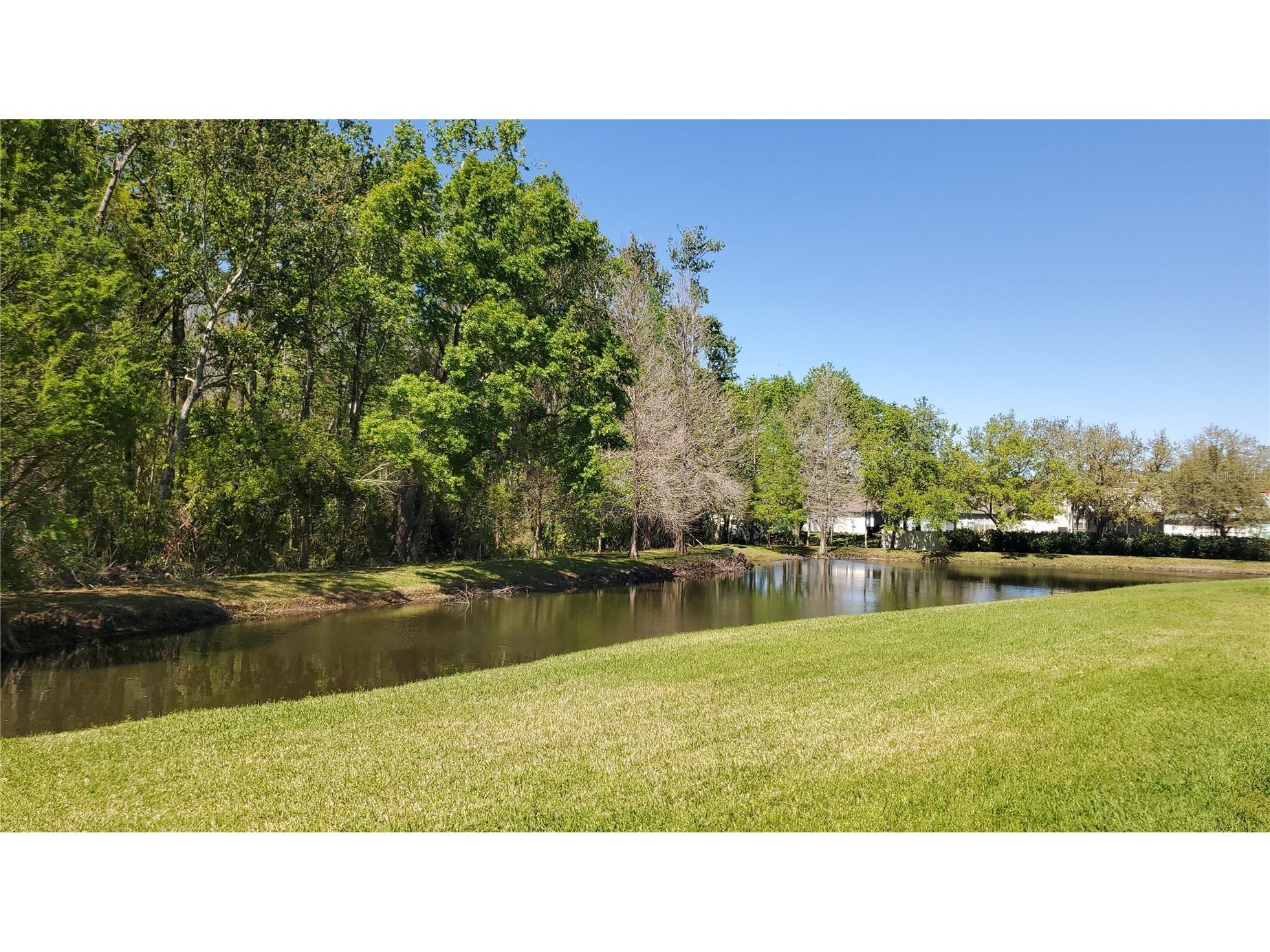 4535 Winding River Way Land O Lakes FL 34639 TB8516969 image40
