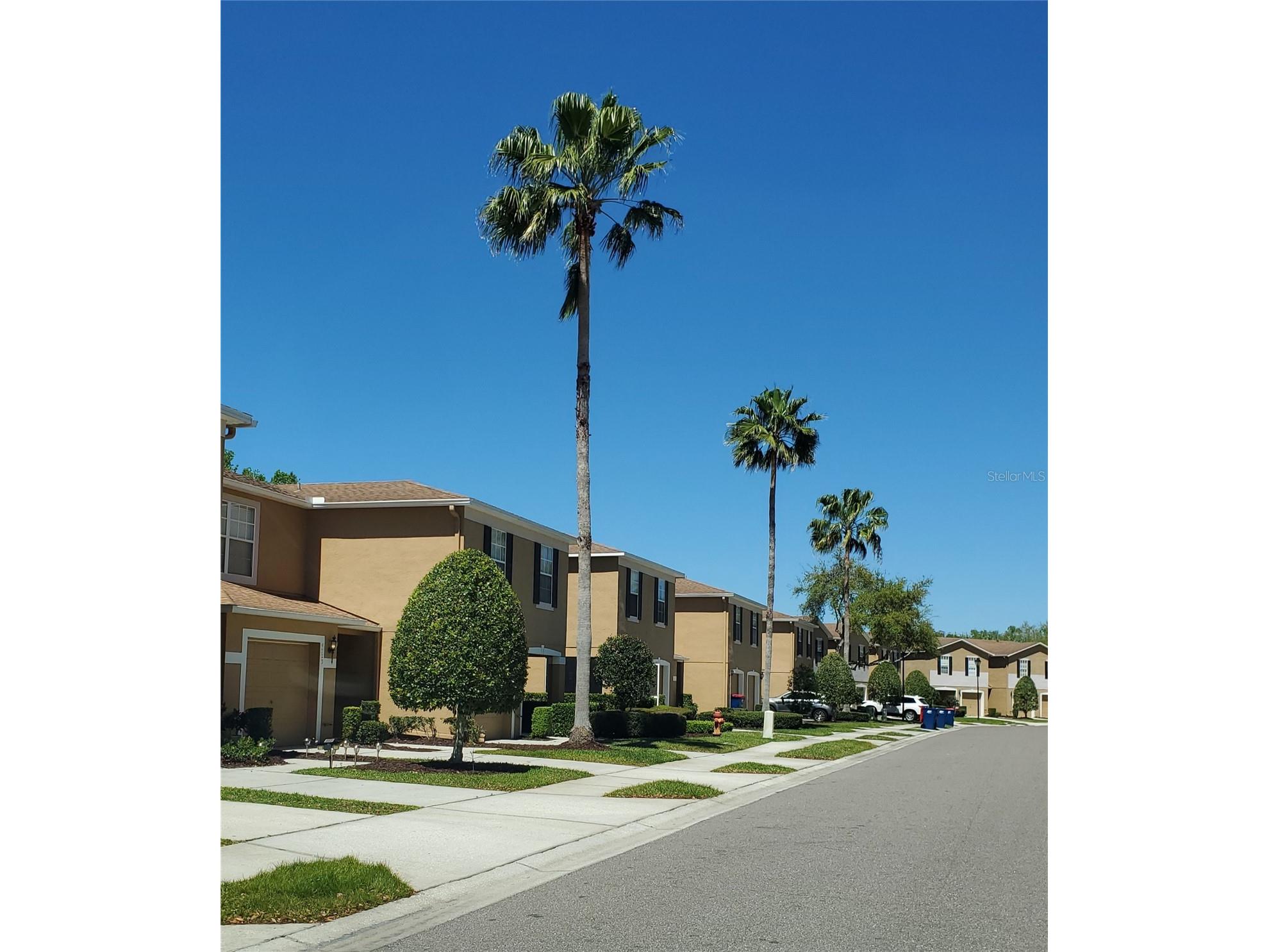 4535 Winding River Way Land O Lakes FL 34639 TB8516969 image41