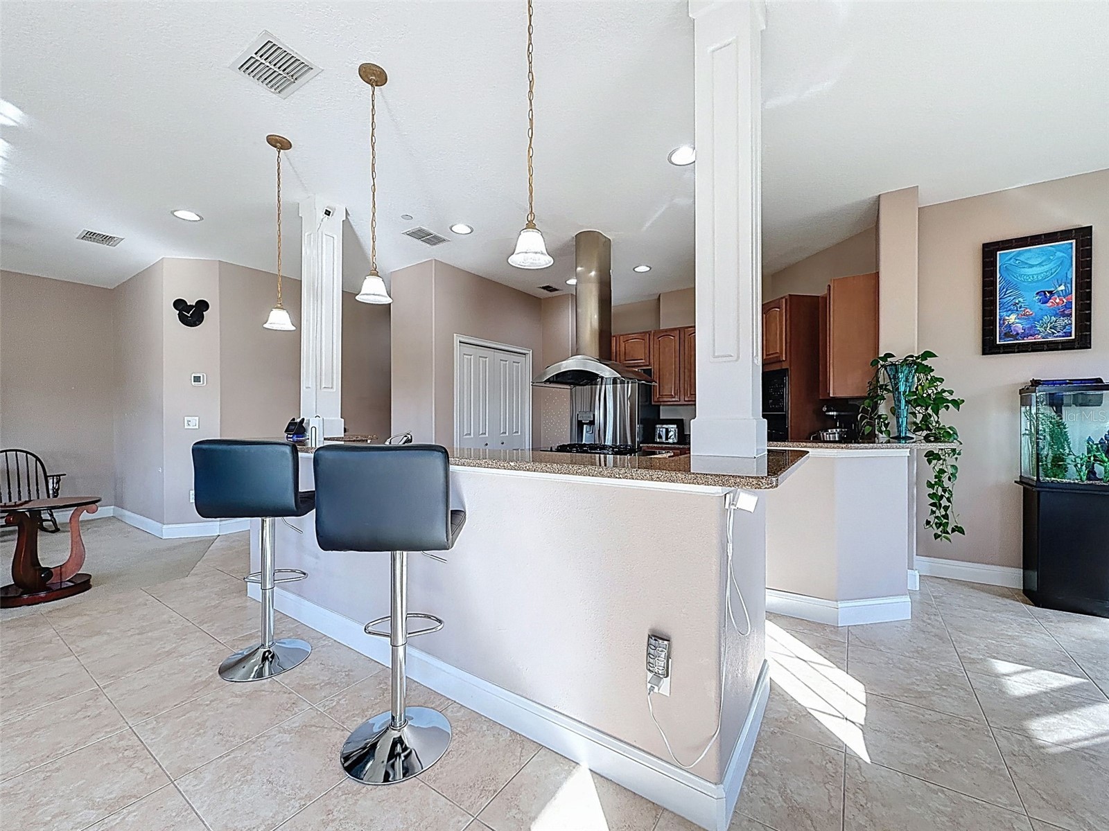 4536 Heron Lodge New Port Richey FL 34652 TB8471742 image22