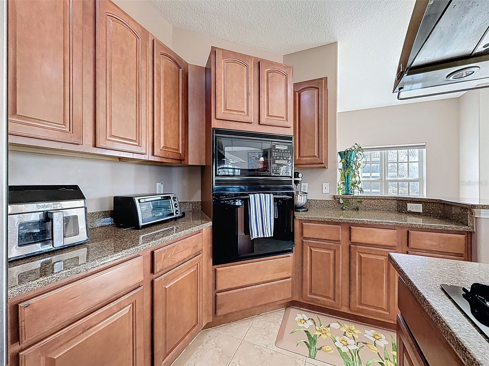 4536 Heron Lodge New Port Richey FL 34652 TB8471742 image25