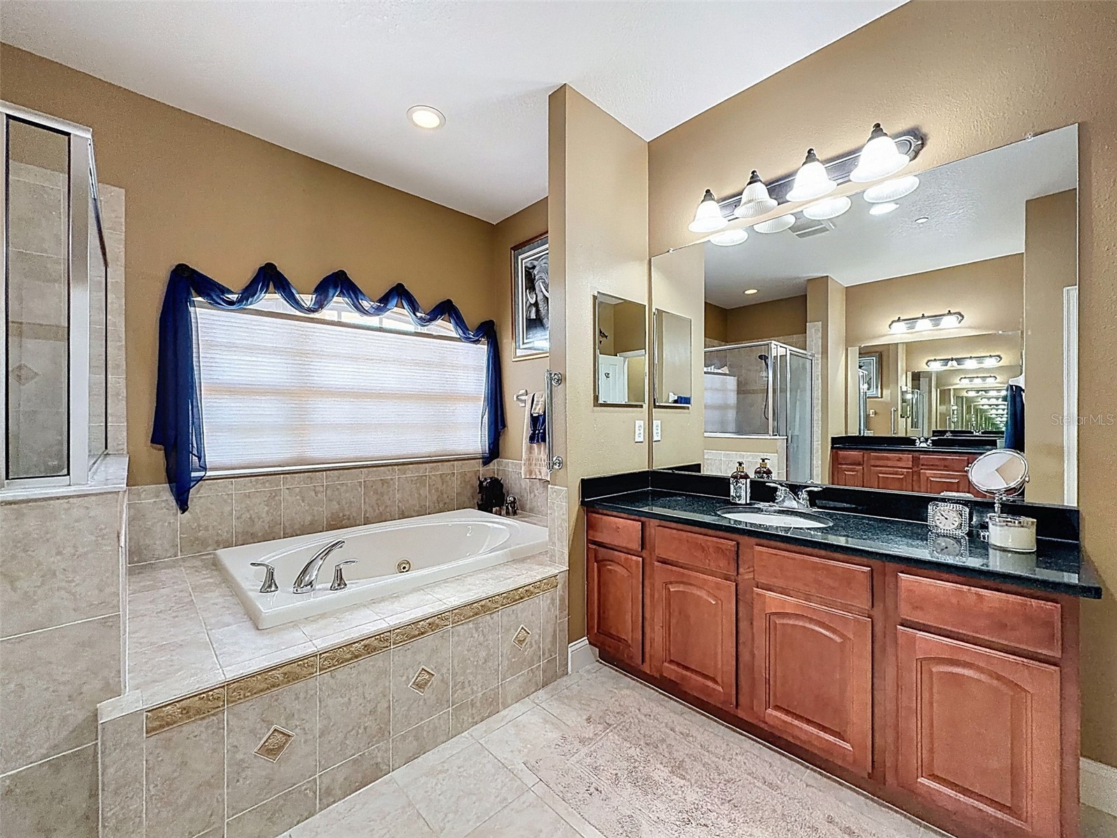 4536 Heron Lodge New Port Richey FL 34652 TB8471742 image40