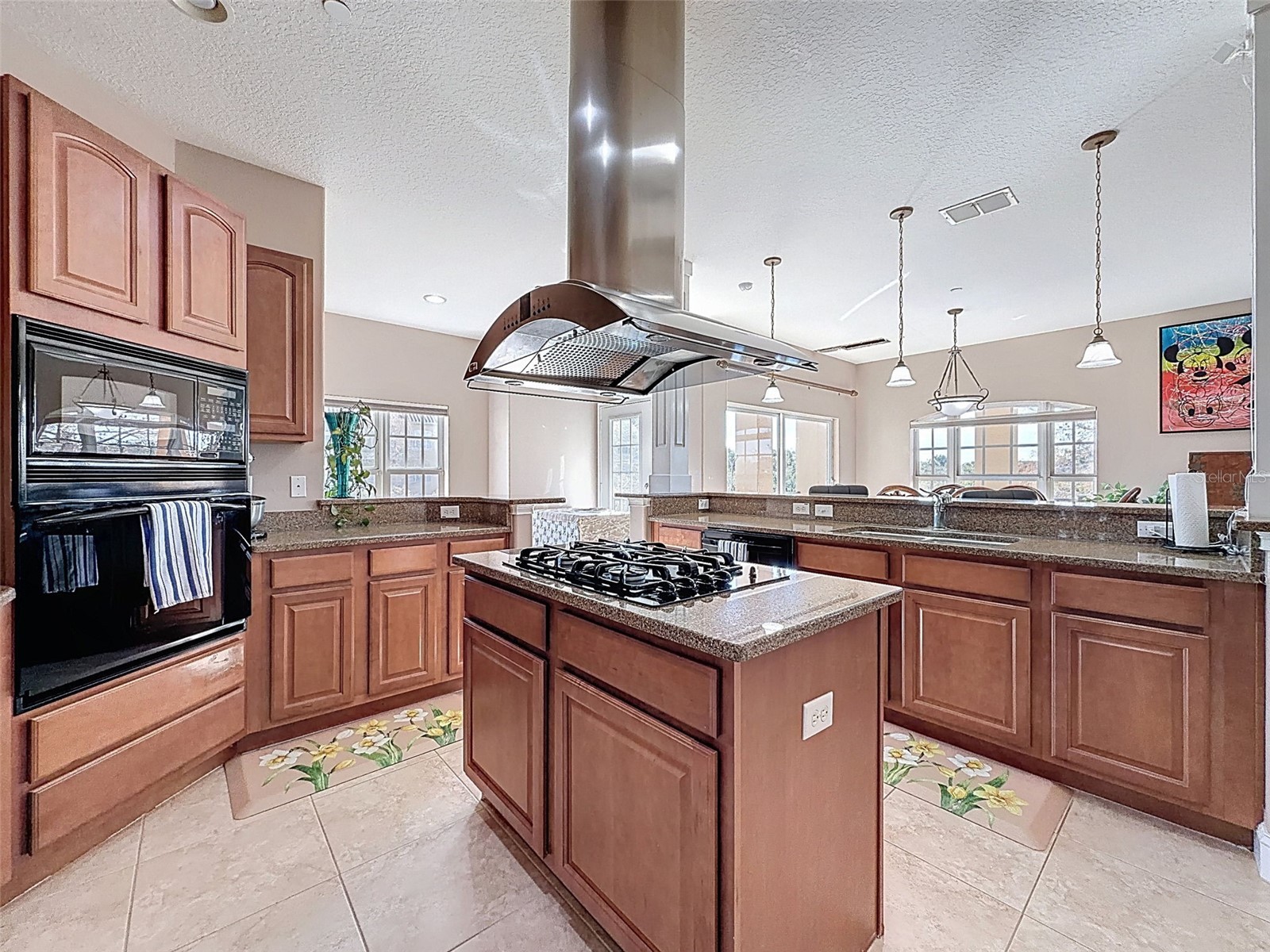 4536 Heron Lodge New Port Richey FL 34652 TB8471742 image6