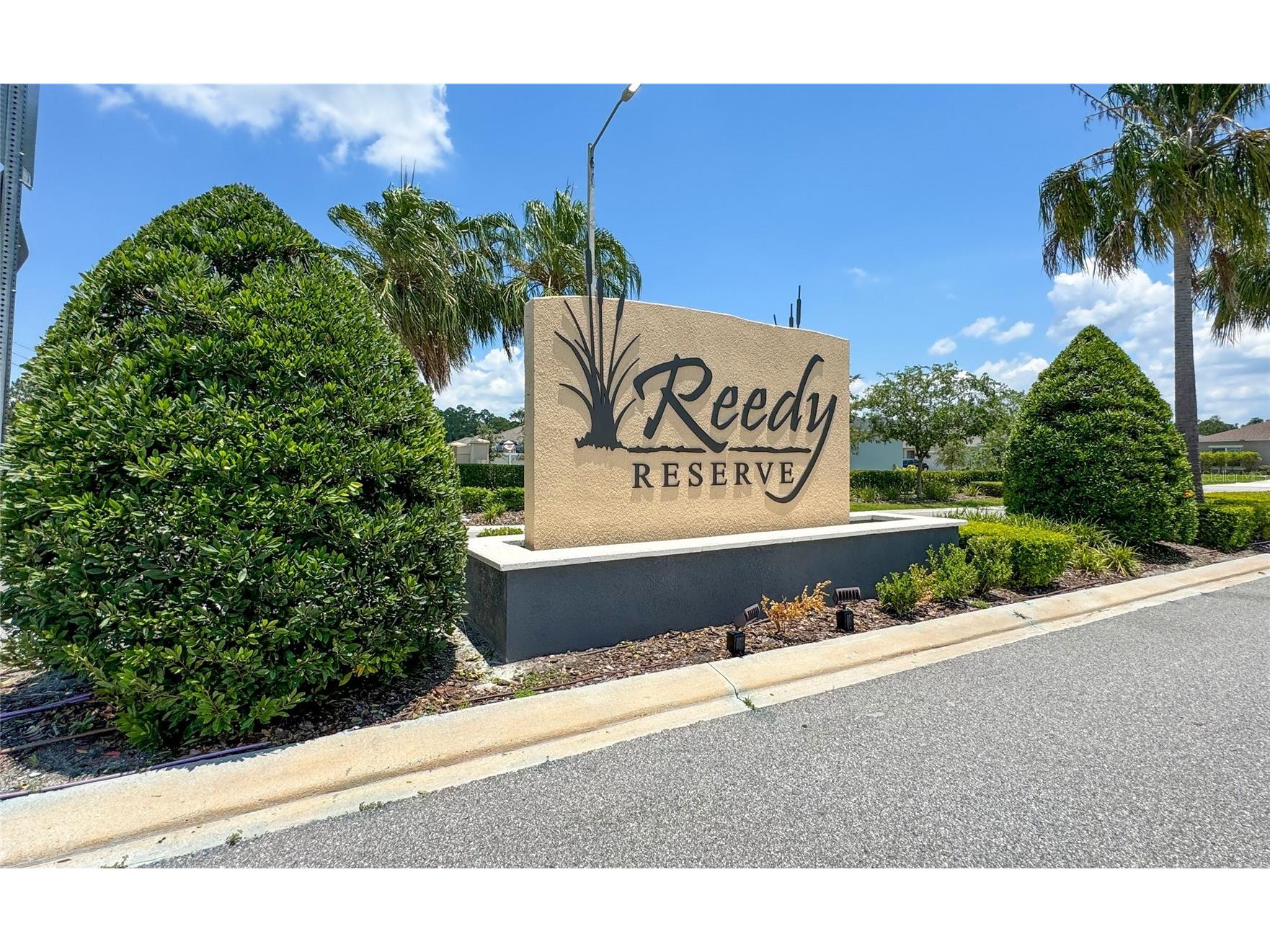 4536 Teoli Court Kissimmee FL 34746 S5145599 image23