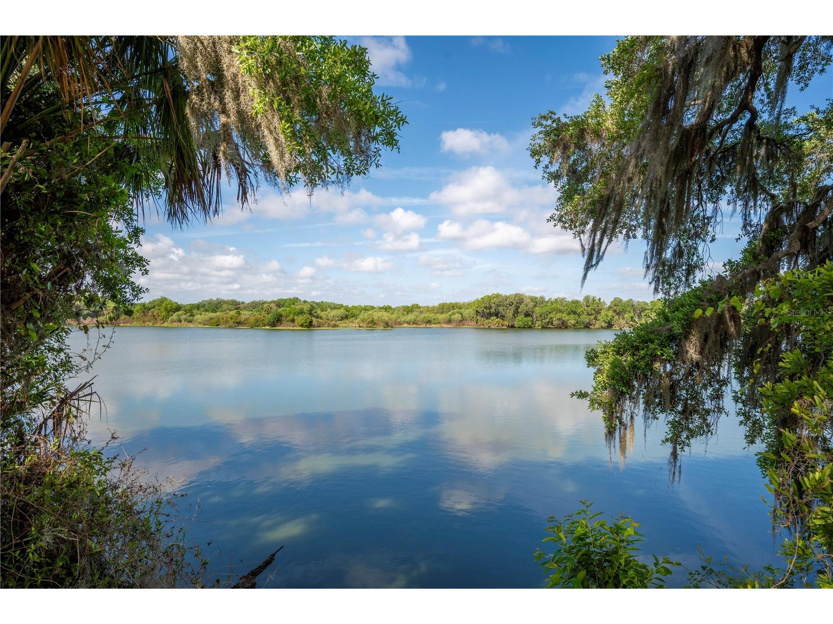 4537 Fairway Oaks Drive Mulberry FL 33860 L4960823 image44