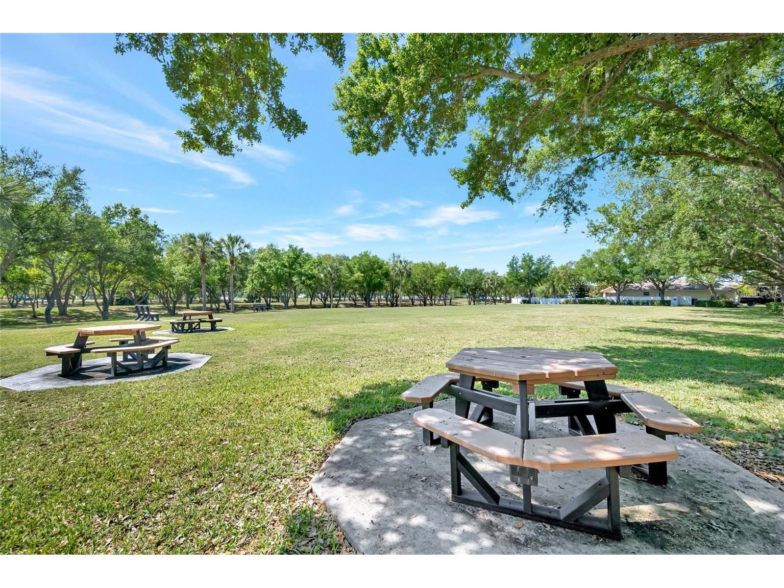 4538 35th Avenue Circle E Palmetto FL 34221 TB8513839 image31