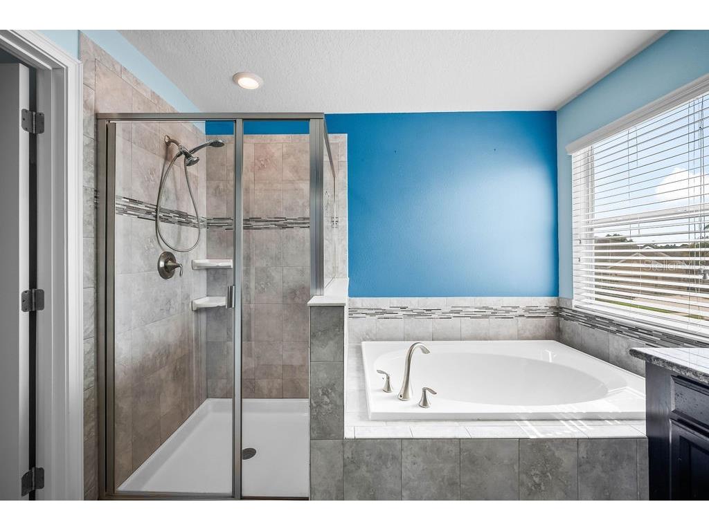 4538 Cortland Drive Davenport FL 33837 O6402696 image22